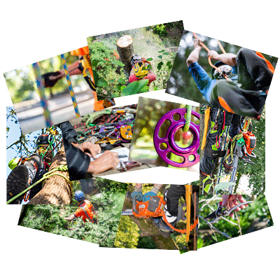 Subscription - 10 image downloads per month