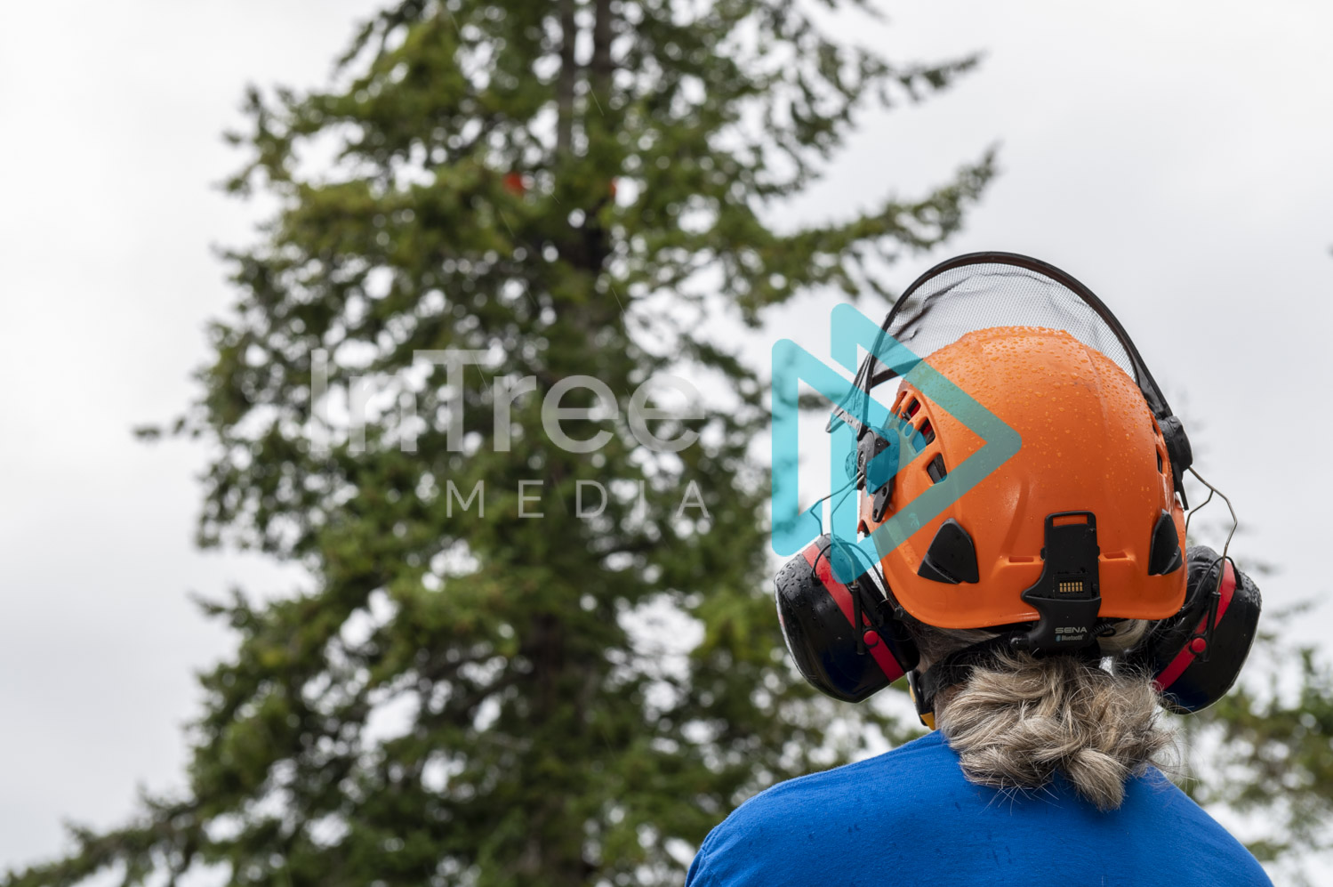 Arborist Photo 001-21-3414