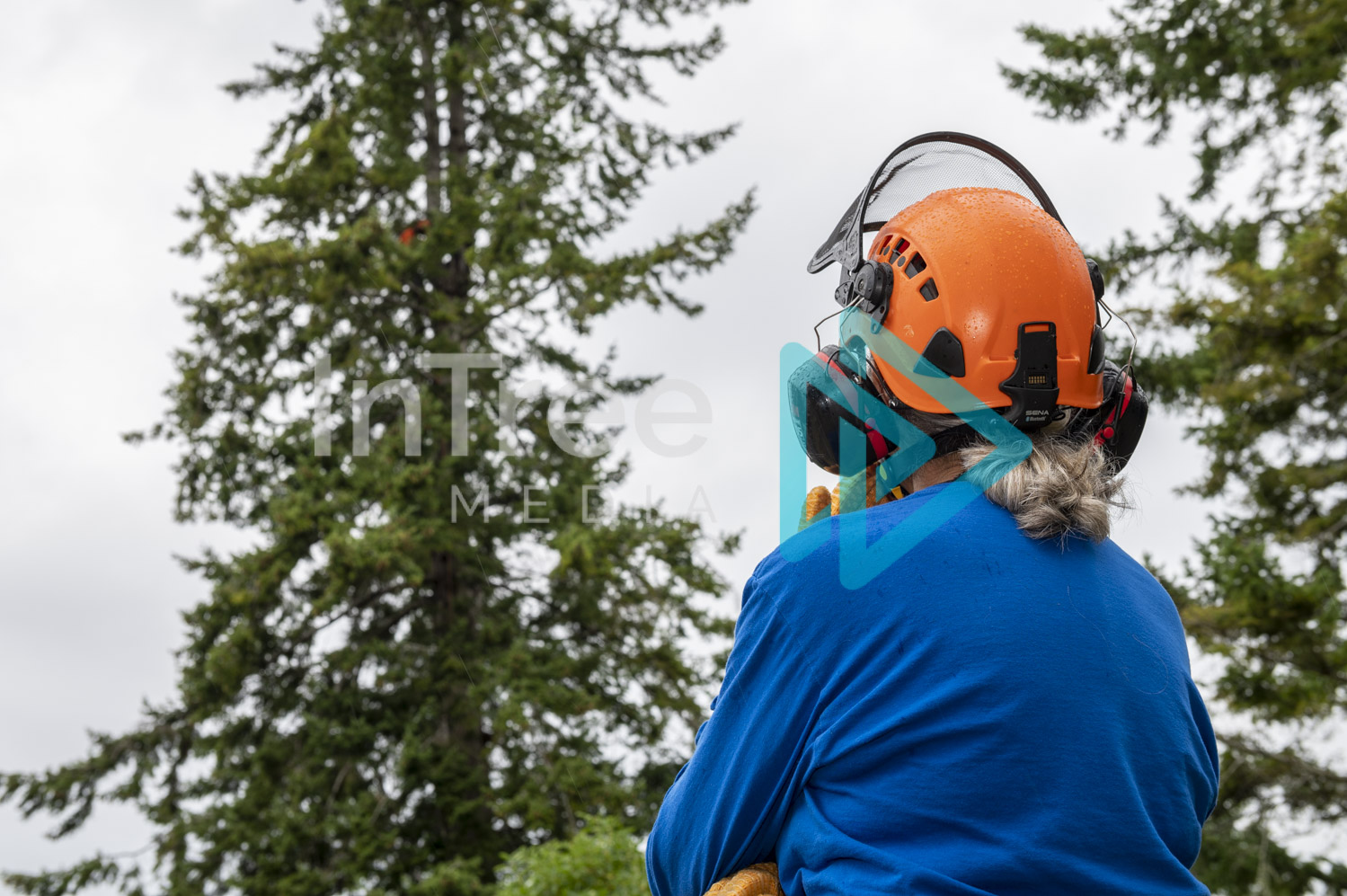 Arborist Photo 001-21-3415