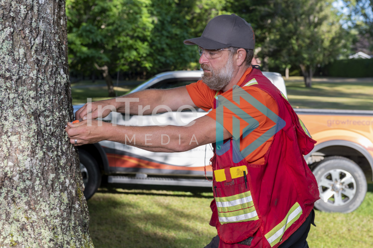 Arborist Photo 001-21-3457