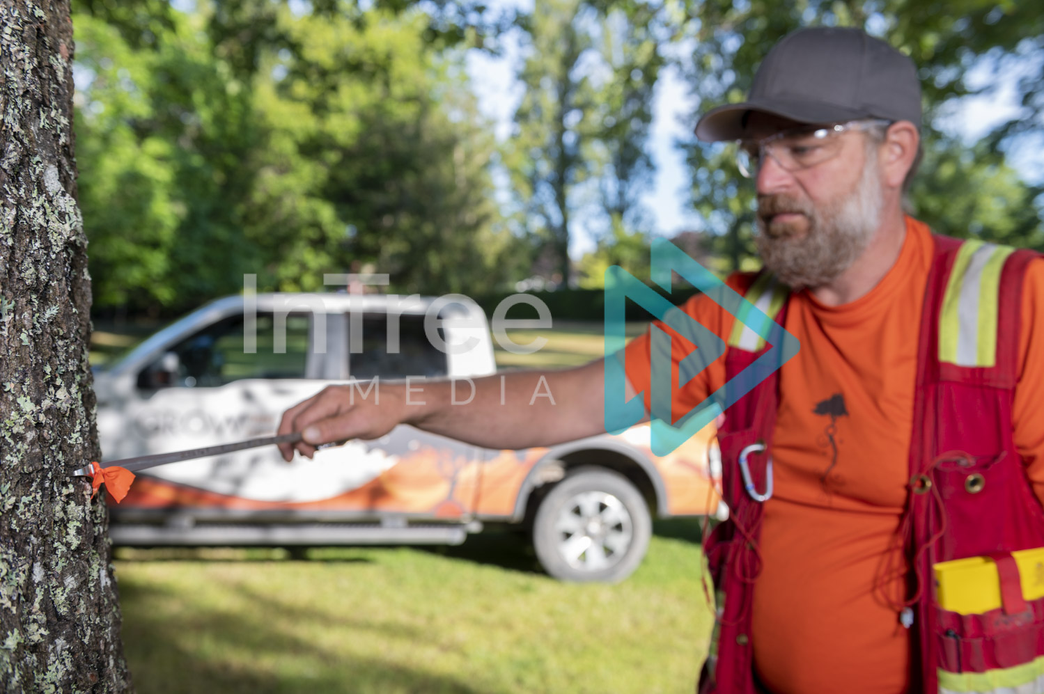 Arborist Photo 001-21-3458