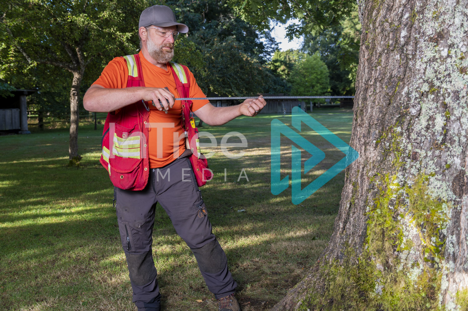 Arborist Photo 001-21-3464