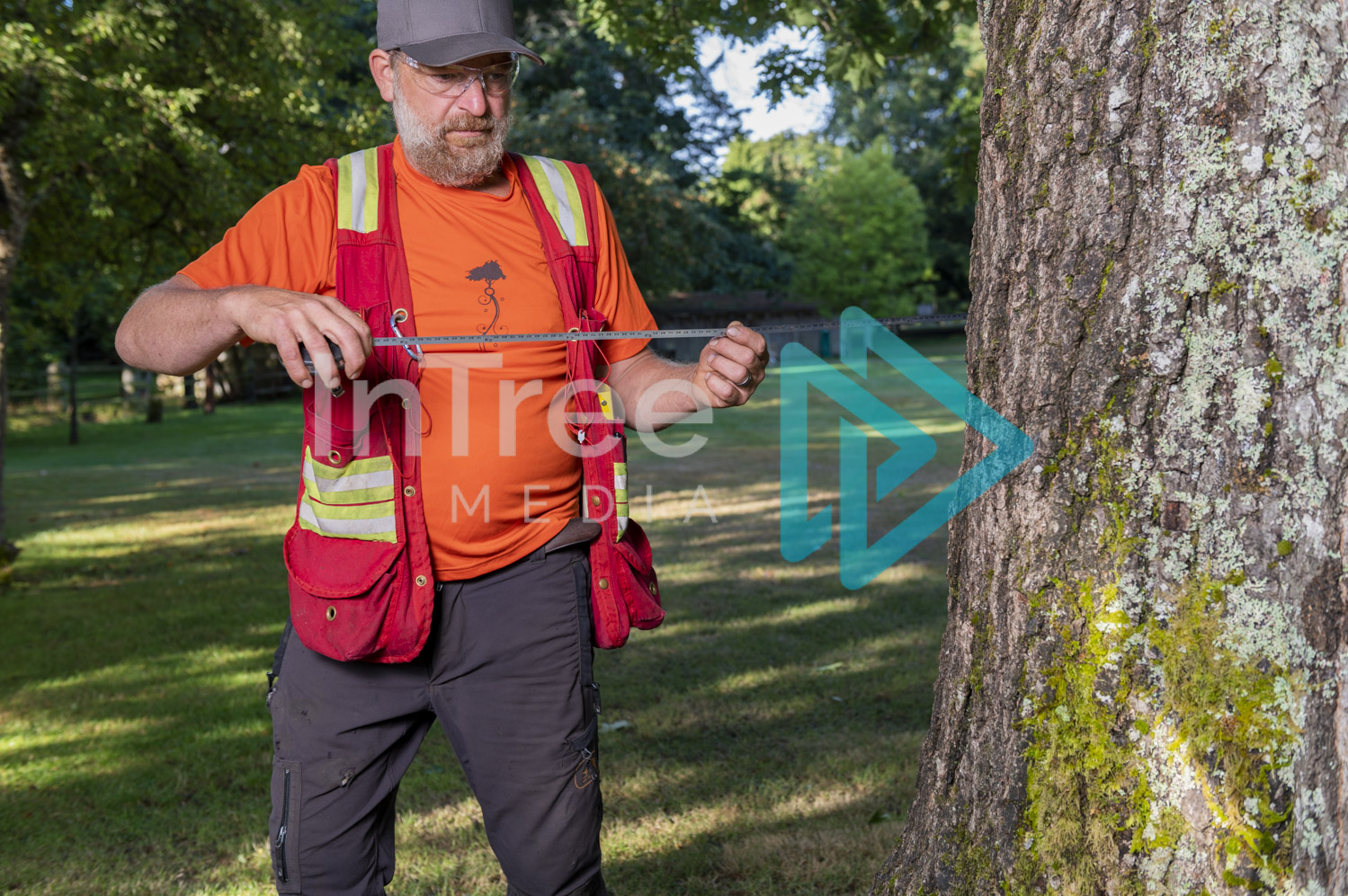 Arborist Photo 001-21-3465