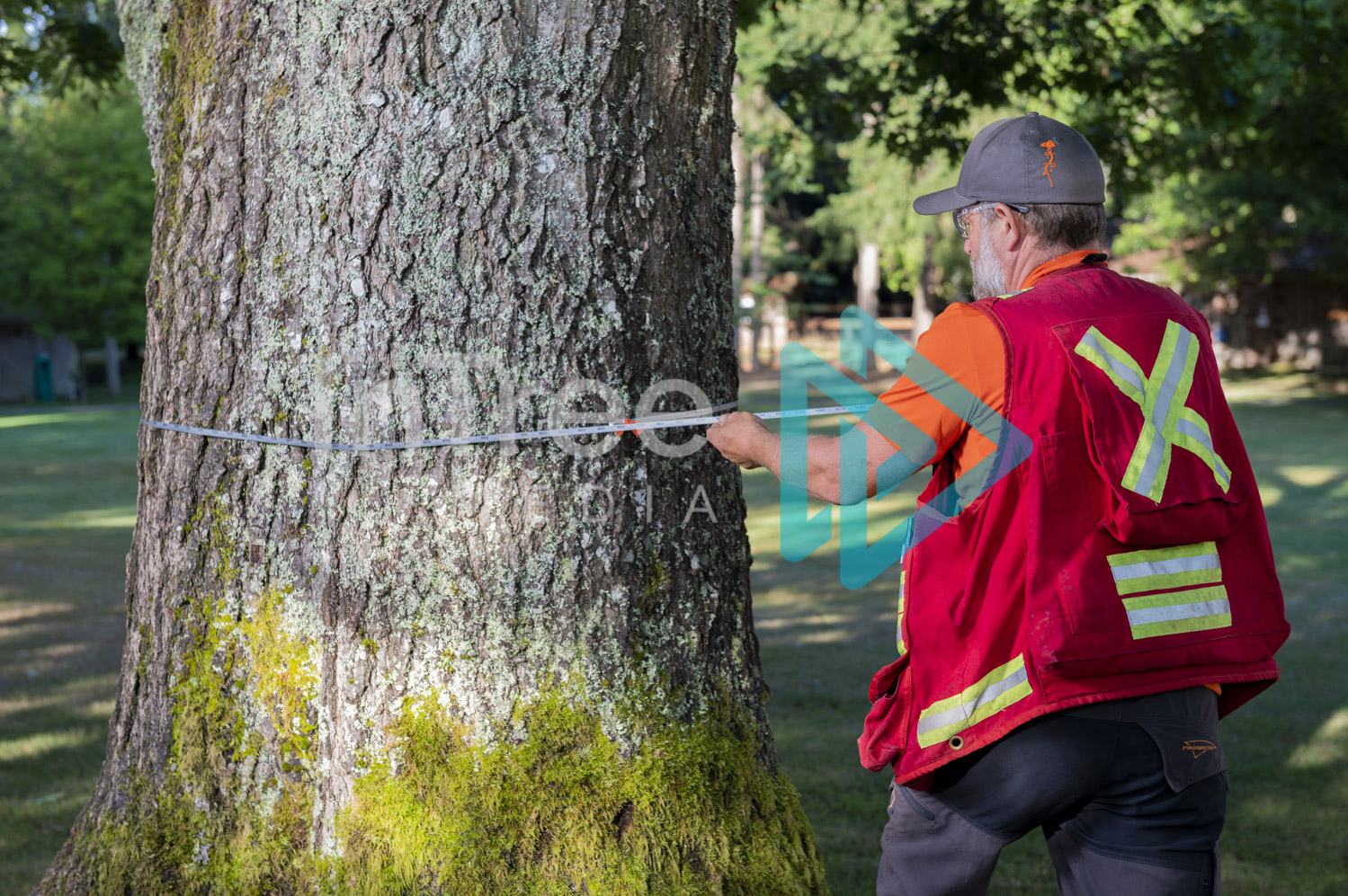 Arborist Photo 001-21-3470