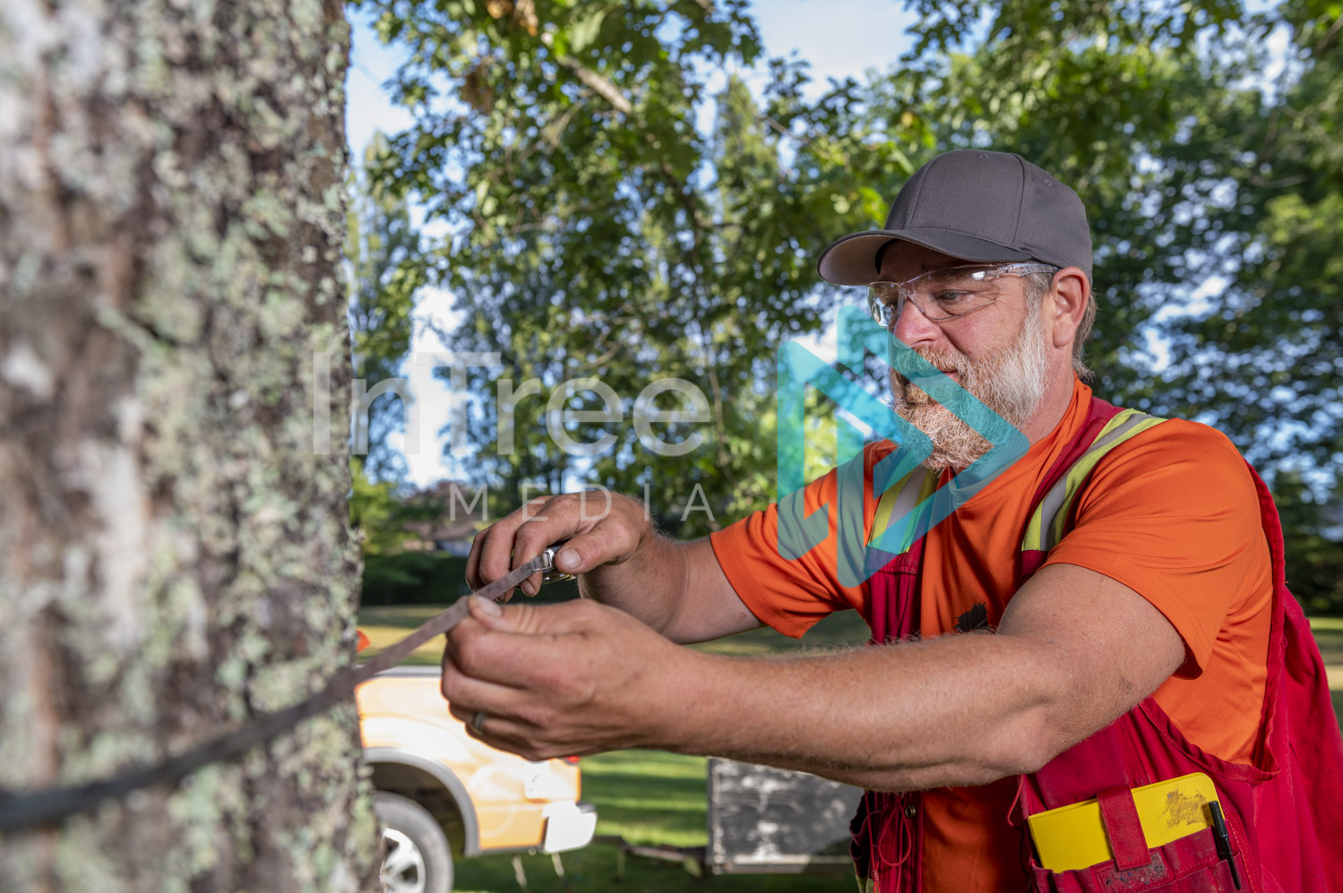 Arborist Photo 001-21-3474
