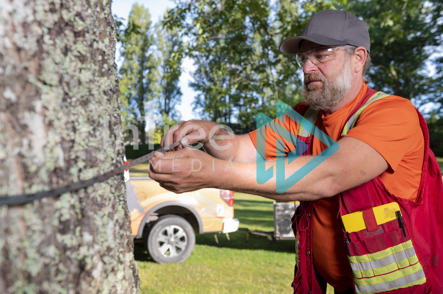 Arborist Photo 001-21-3475