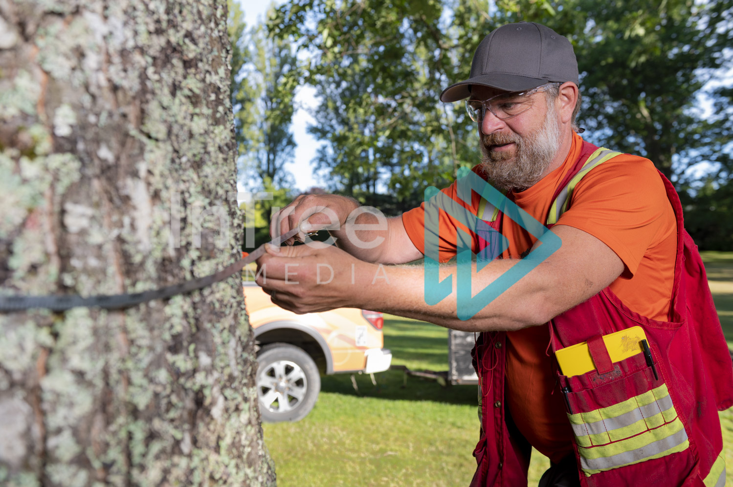 Arborist Photo 001-21-3477