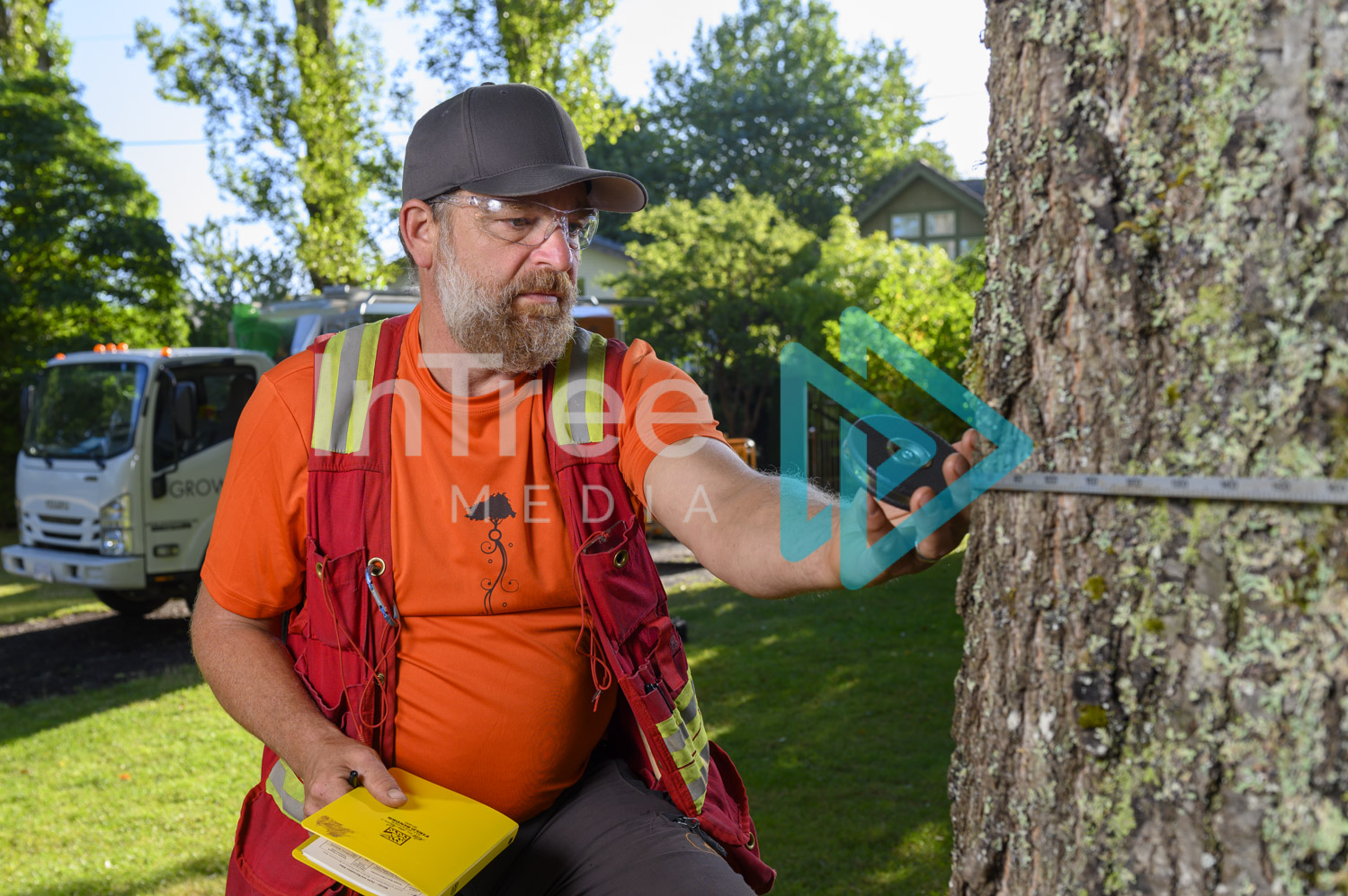 Arborist Photo 001-21-3484