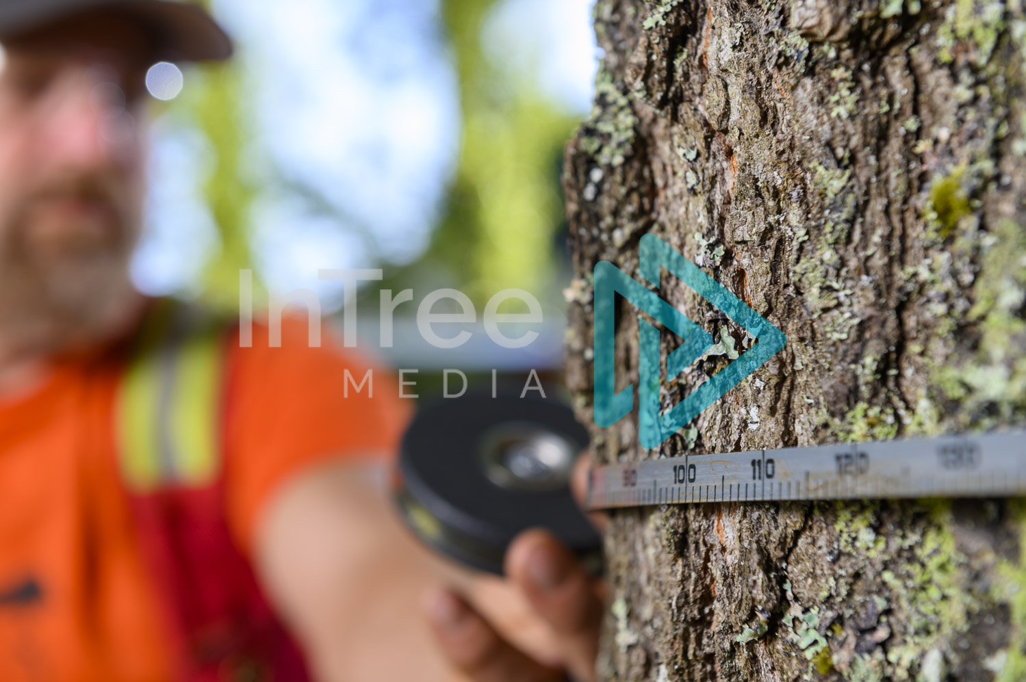 Arborist Photo 001-21-3486
