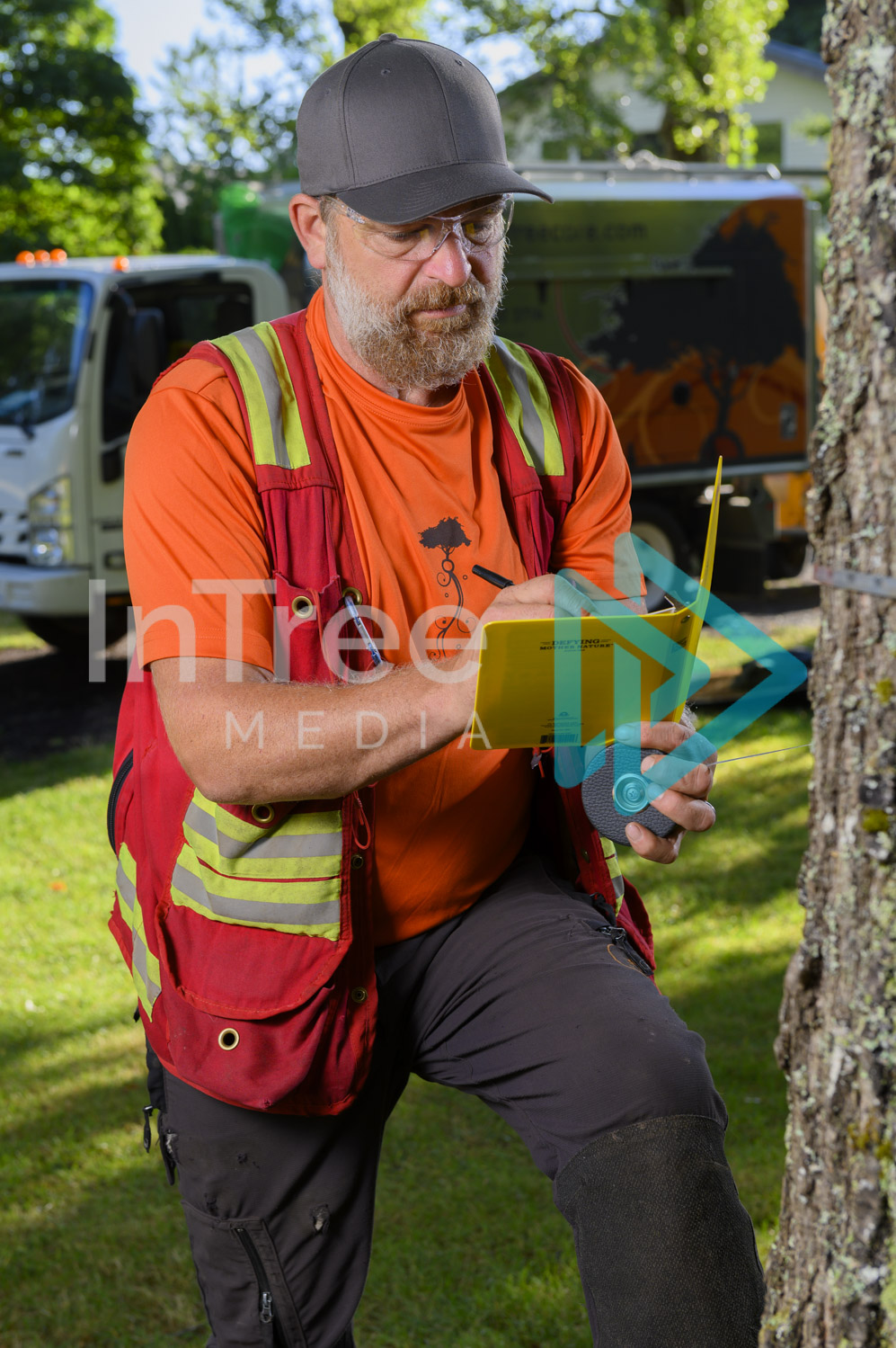 Arborist Photo 001-21-3493