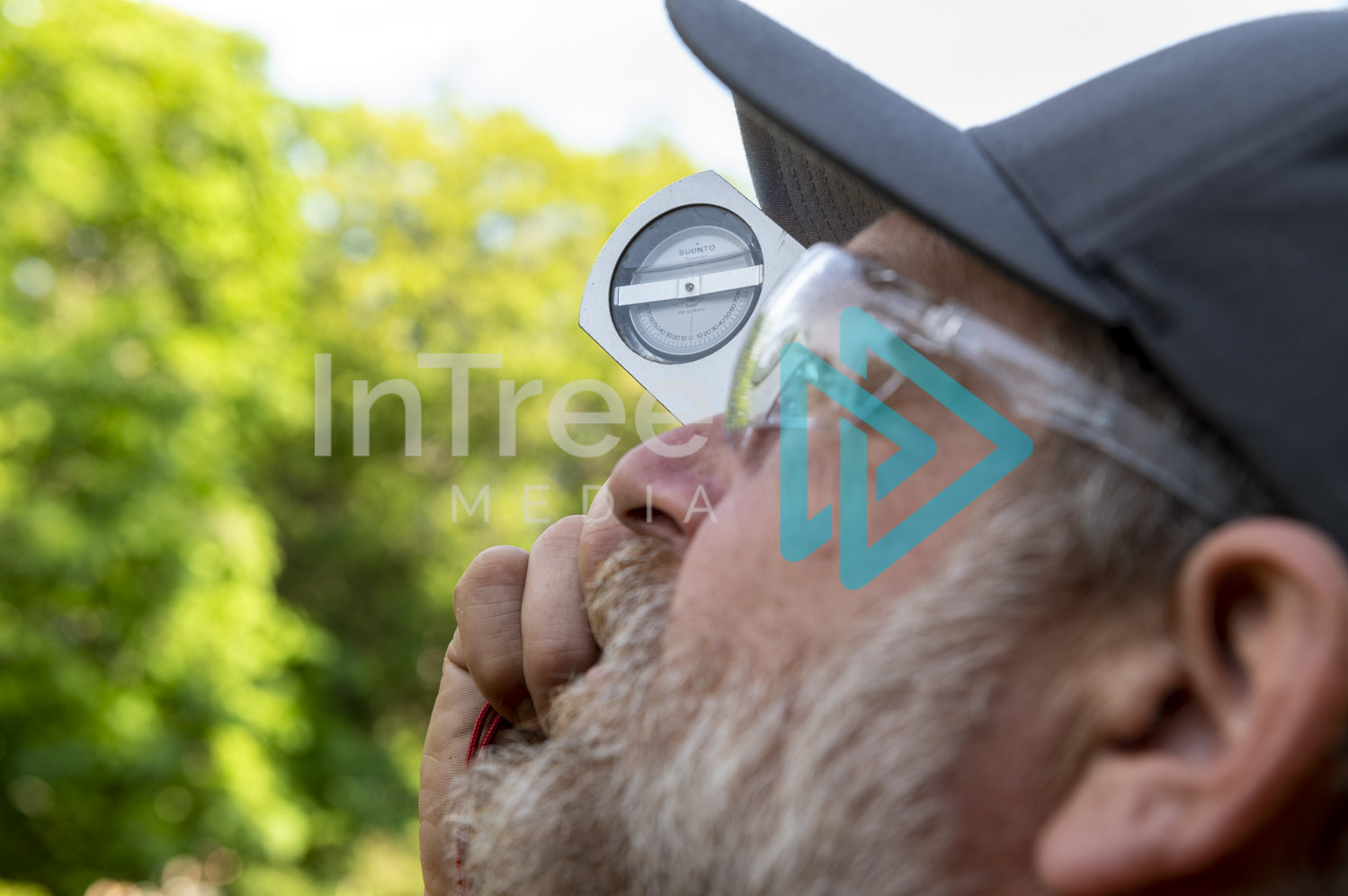 Arborist Photo 001-21-3506