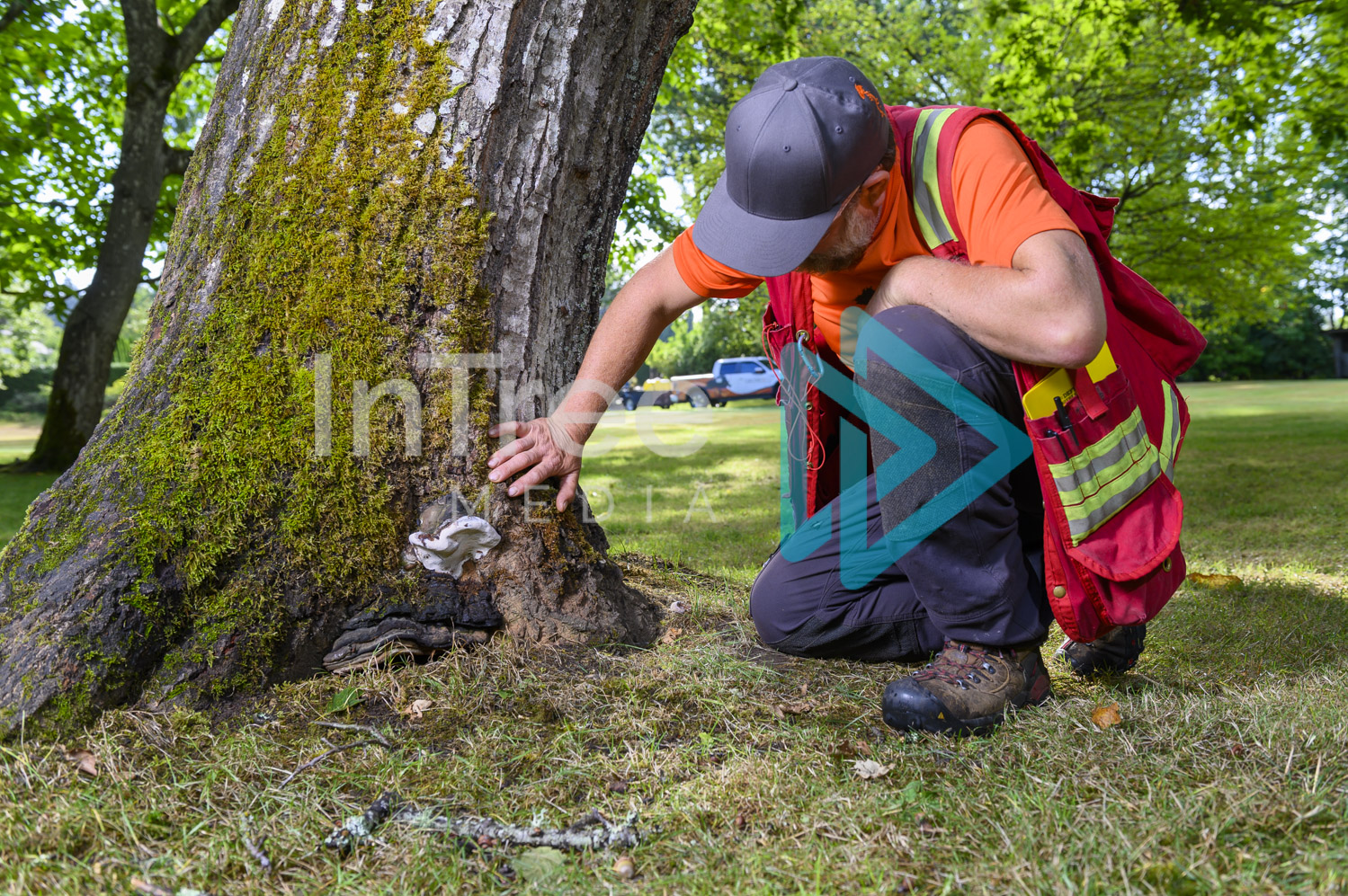 Arborist Photo 001-21-3532
