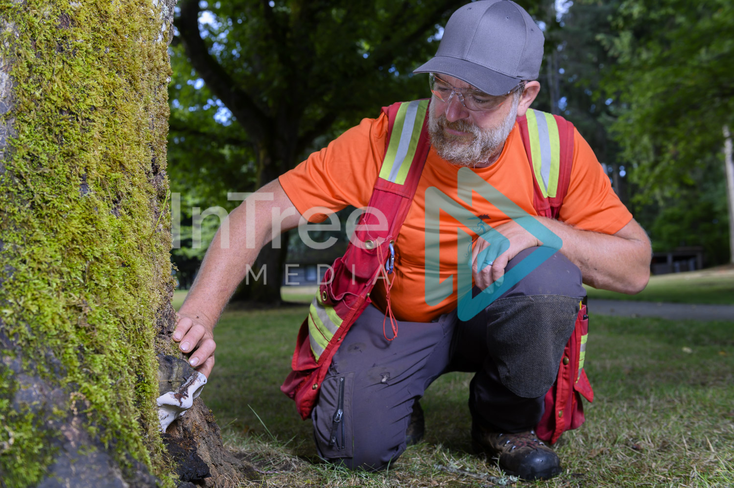 Arborist Photo 001-21-3552