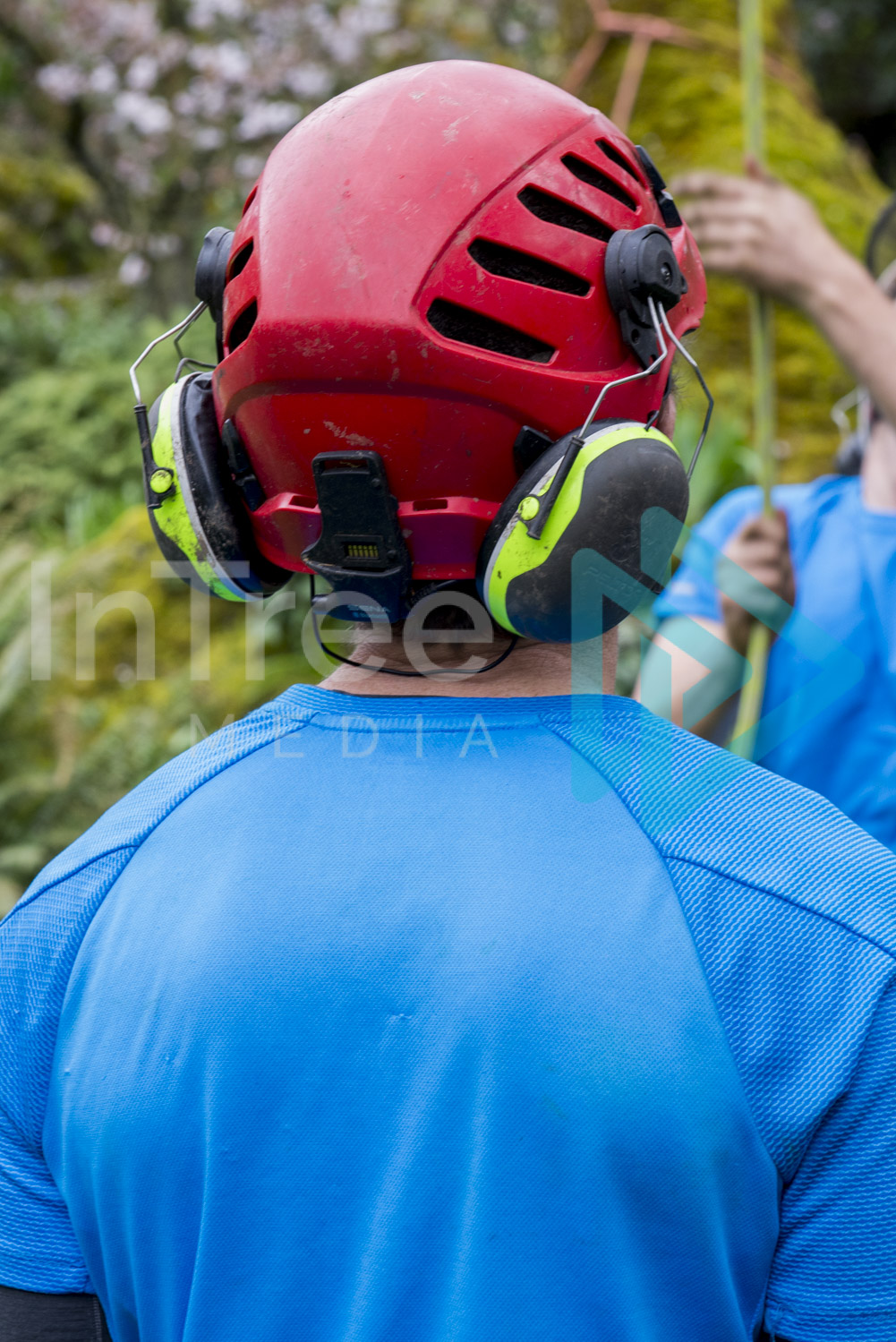 Back of a red helmet with ear protection InTree arborist image 001-21-5855