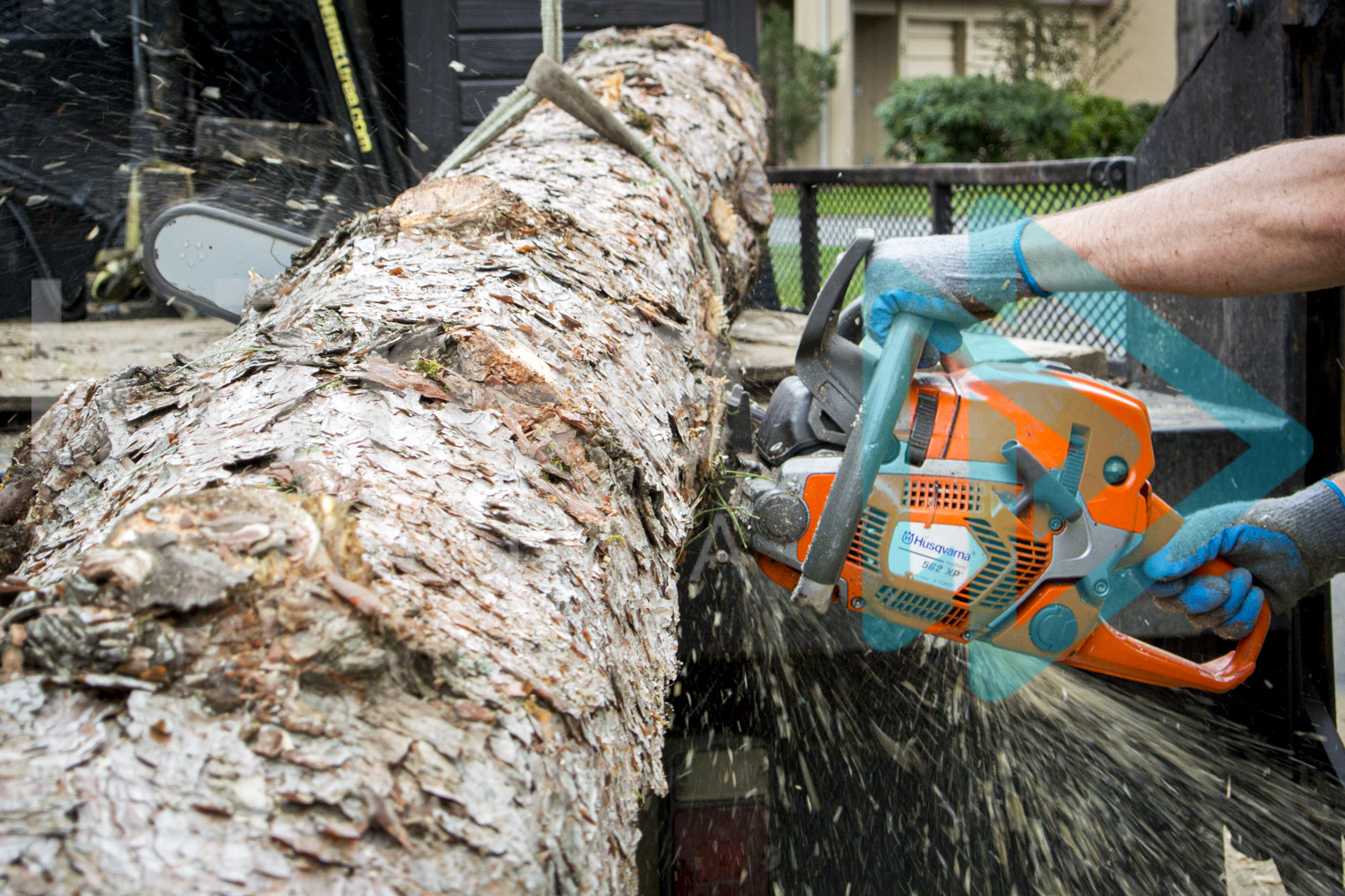 Chainsaw cutting through log on truck bed InTree arborist image 001-21-9983