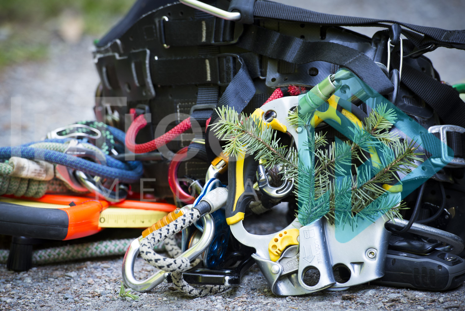Climbing Arborist harness with hand ascender 001-21-8557