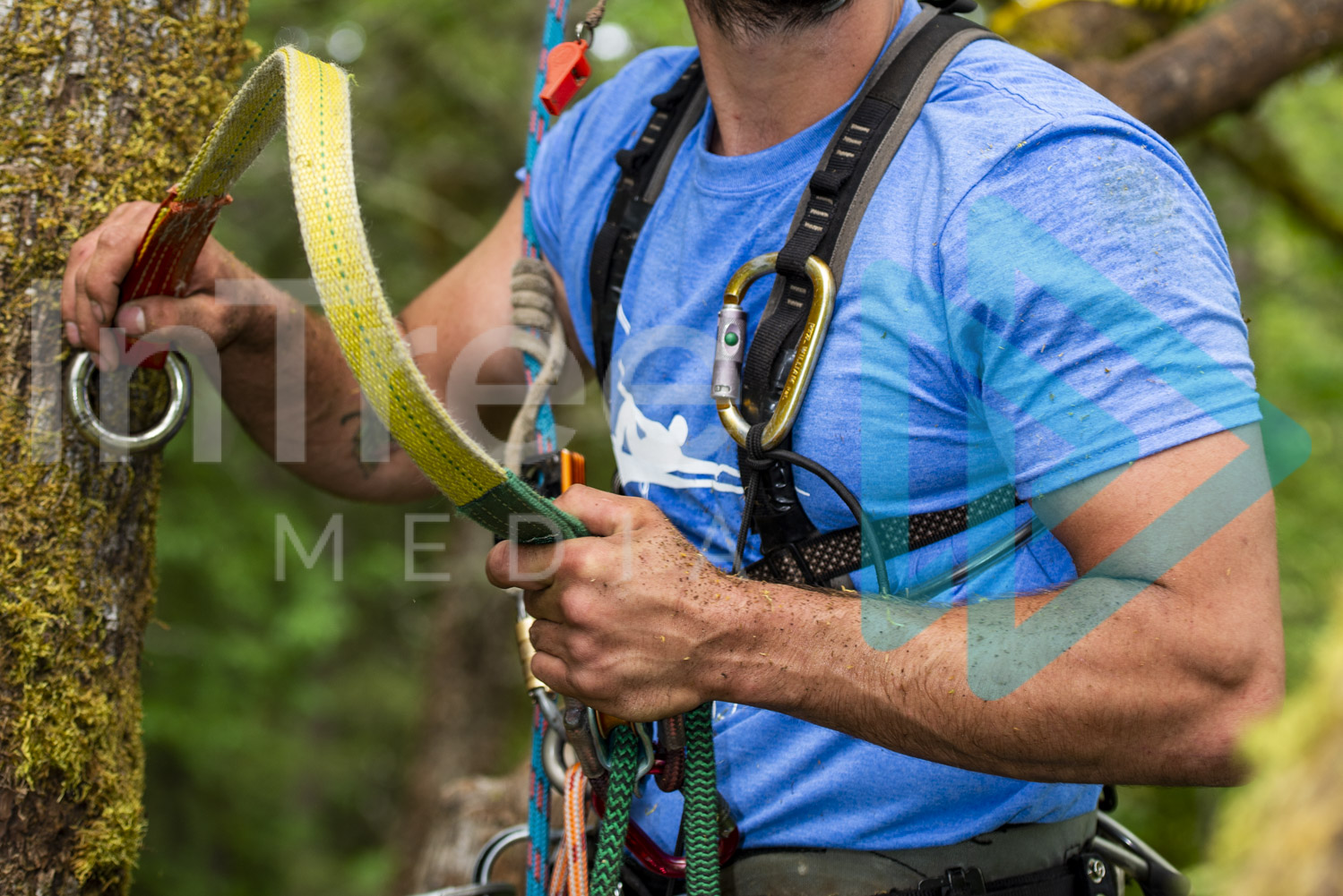 Climbing Arborist with friction saver in hands 001-21-5340