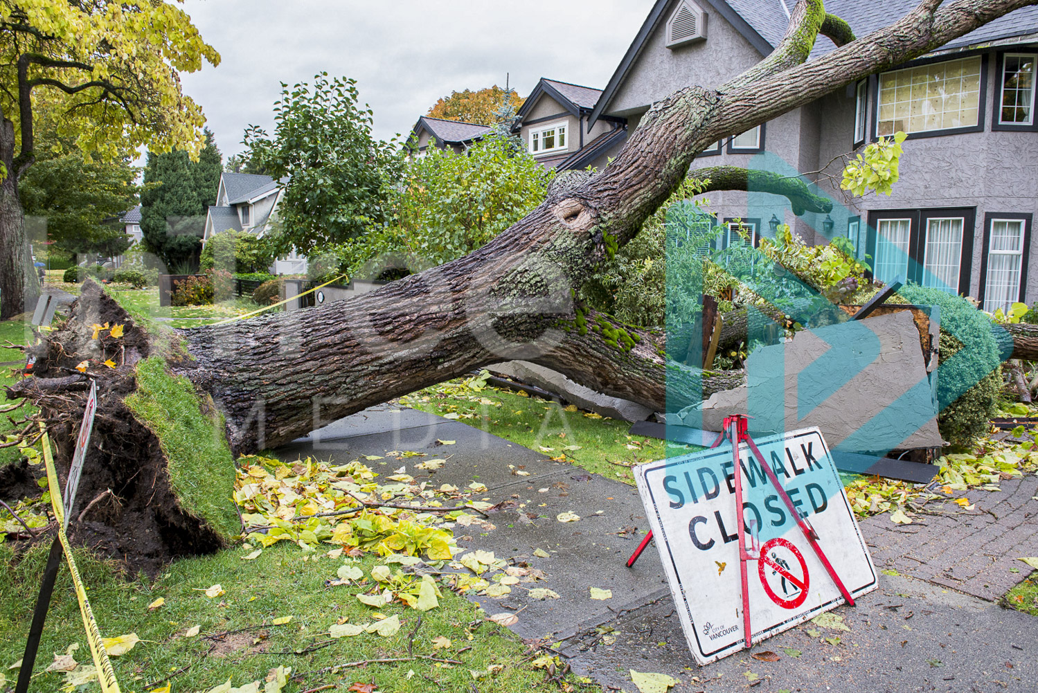 Fallen-tree-on-house-001-21-2