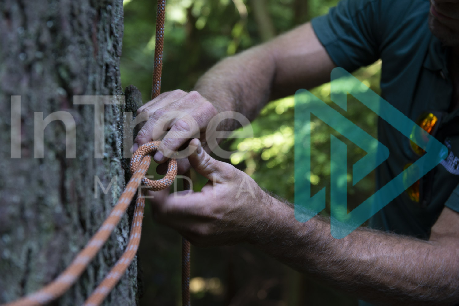 Hands tying running bowline knot 001-21-8399