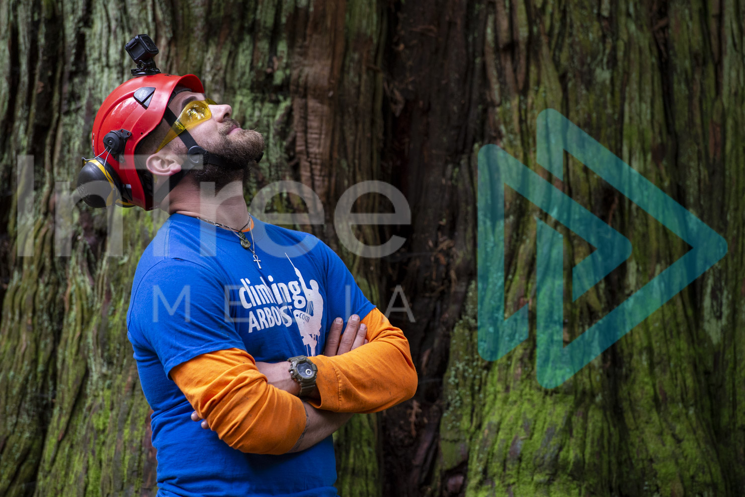 Male Climbing arborist with GoPro on helmet looking up into forest canopy - Arborist Stock Photo 001-21-6428