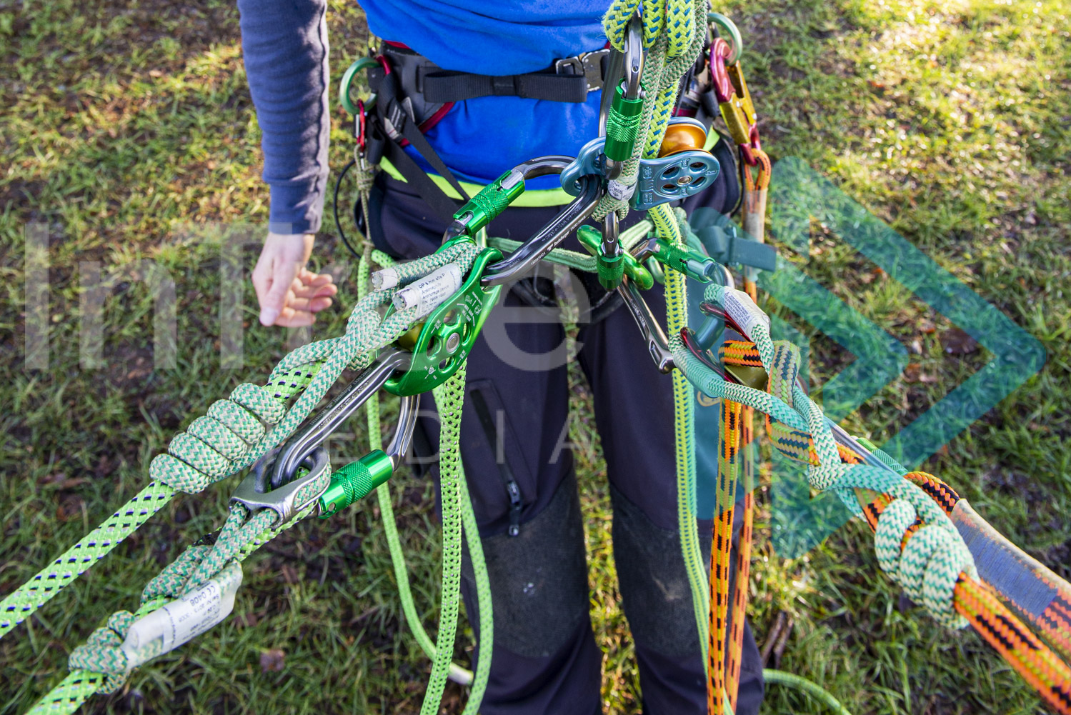 Multiple ropes attached to tree climbing harness 001-21-3830