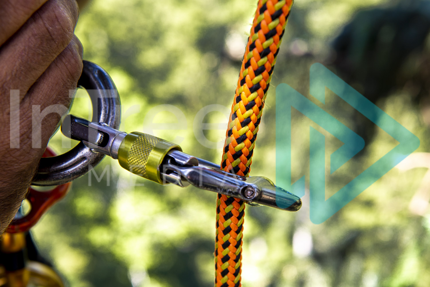 Orange rope captured in carabiner 001-21-7879