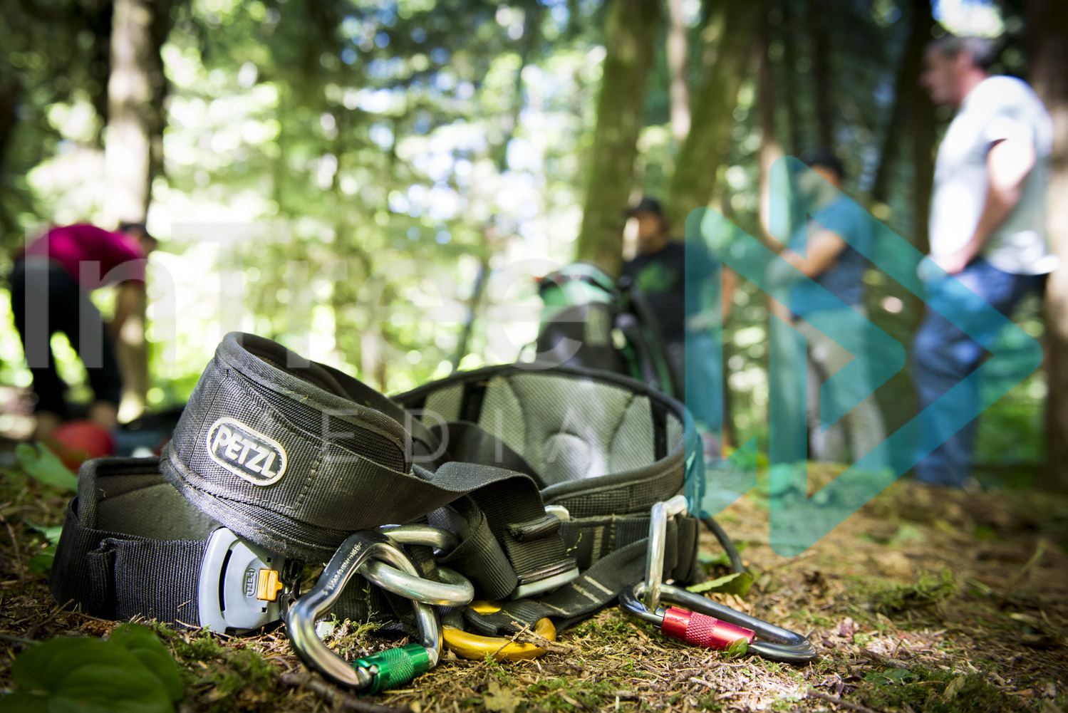 Tree climbing harness on ground - Arborist Stock Photo 001-21-7979