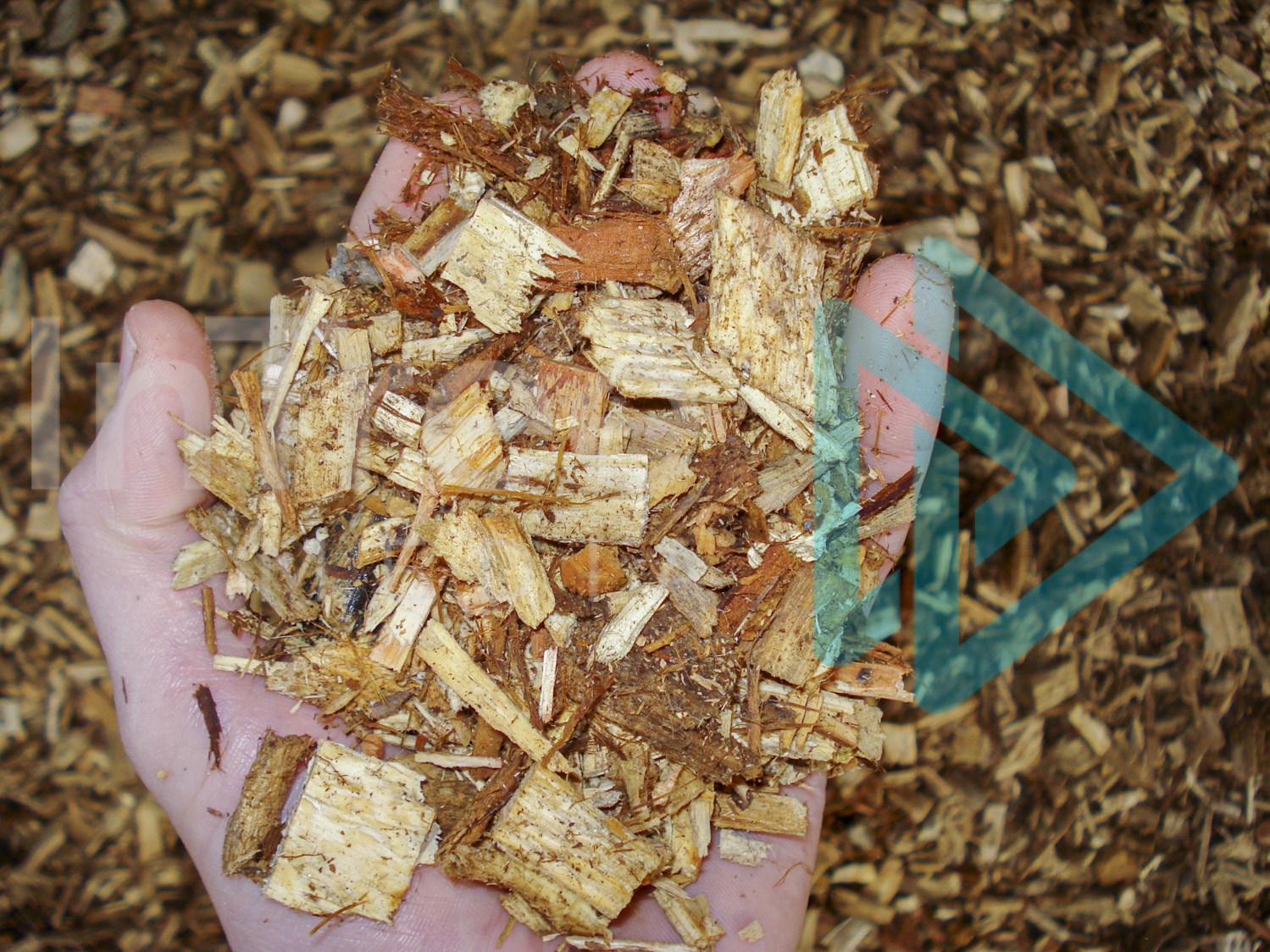 handful of woodchip - Arborist Stock Photo 001-21-06429