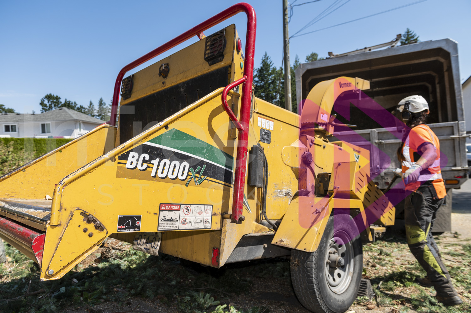 Female arborist engaging clutch on yellow chipper