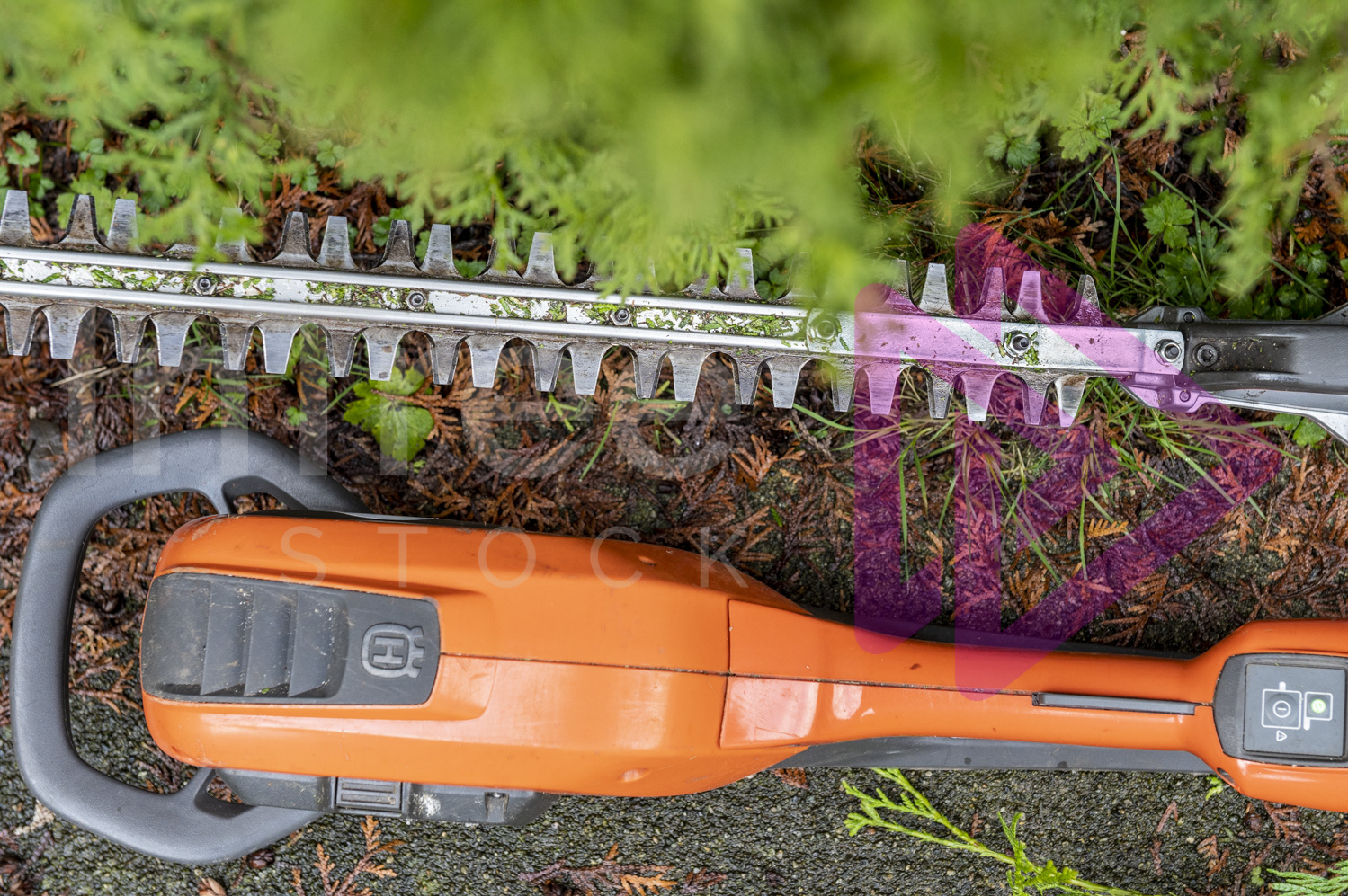 Close up of orange hedge trimmers laying on ground