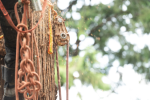 Rigging