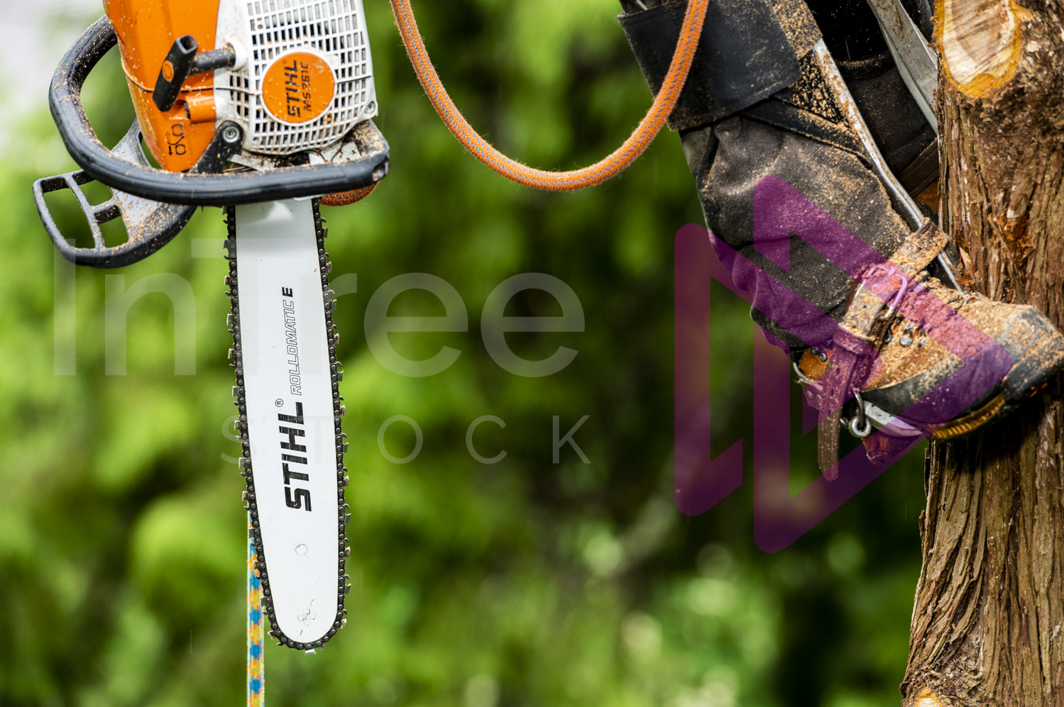 Chainsaw hanging from harness with blurred green background
