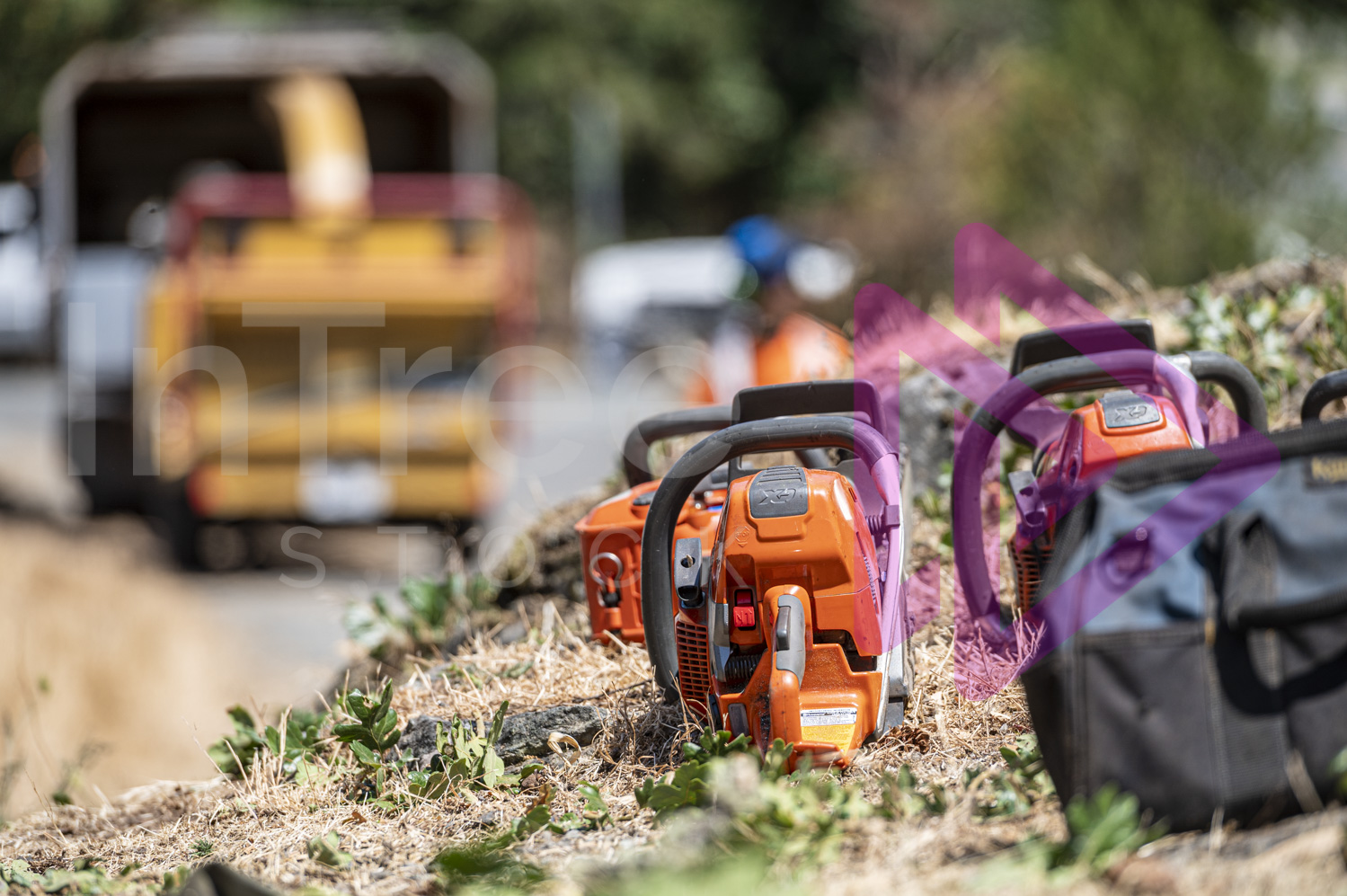 Chainsaws on ground with chipper blurred in background
