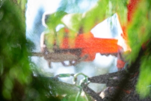 Background Images