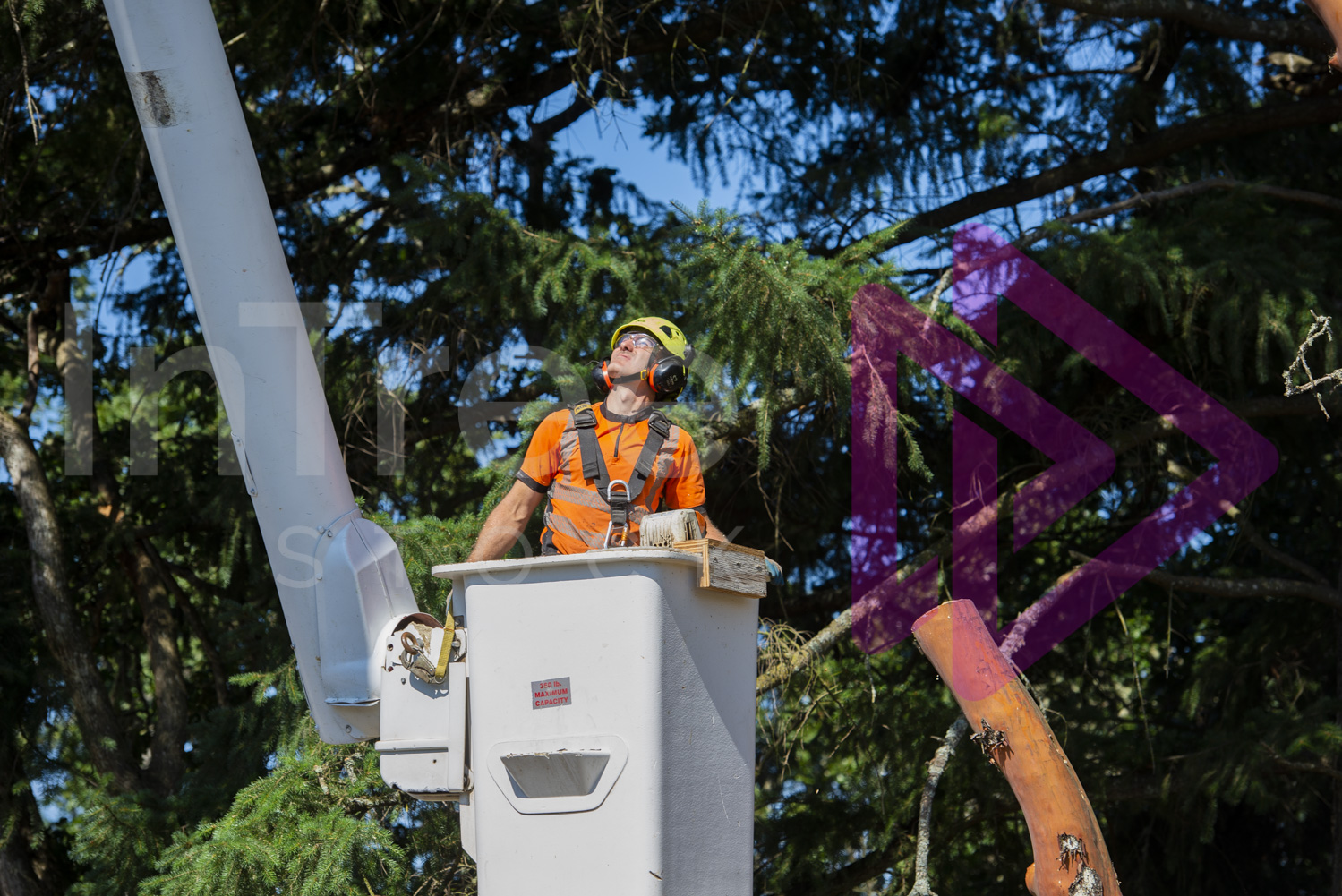 Man in orange hi-viz in boom truck bucket