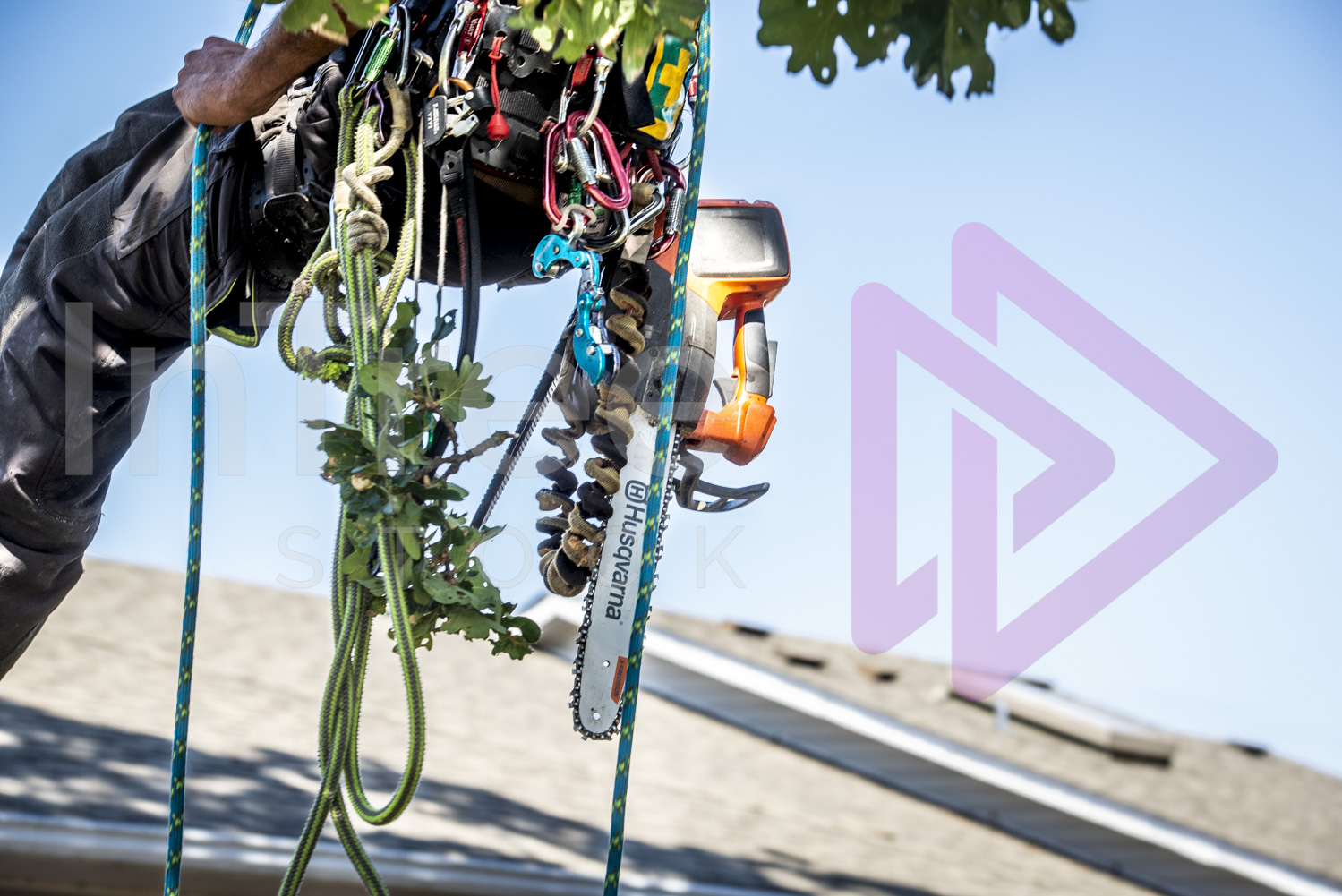 Chainsaw hanging from climbers harness