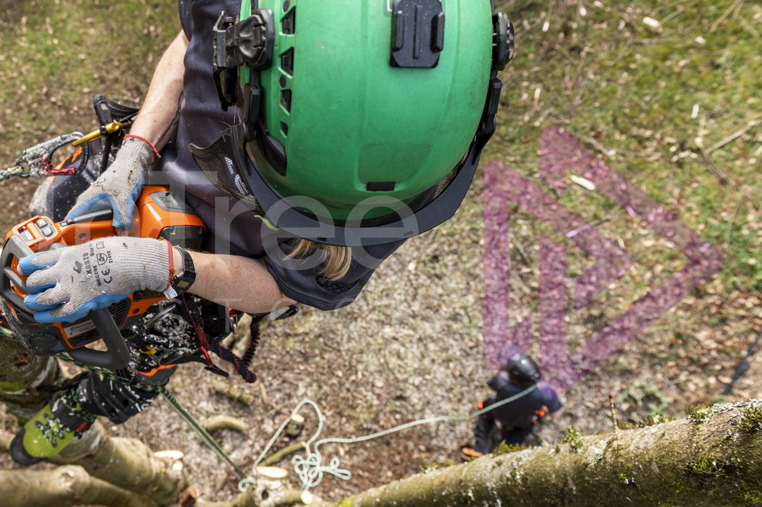 Female arborist looking down at groundie
