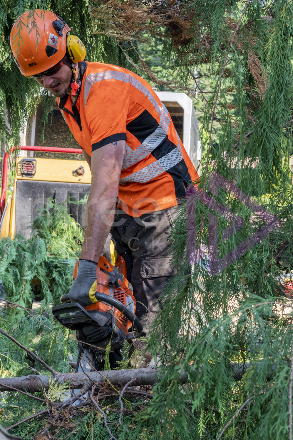 Man wearing orange helmet and hi-vis operating ground chainsaw