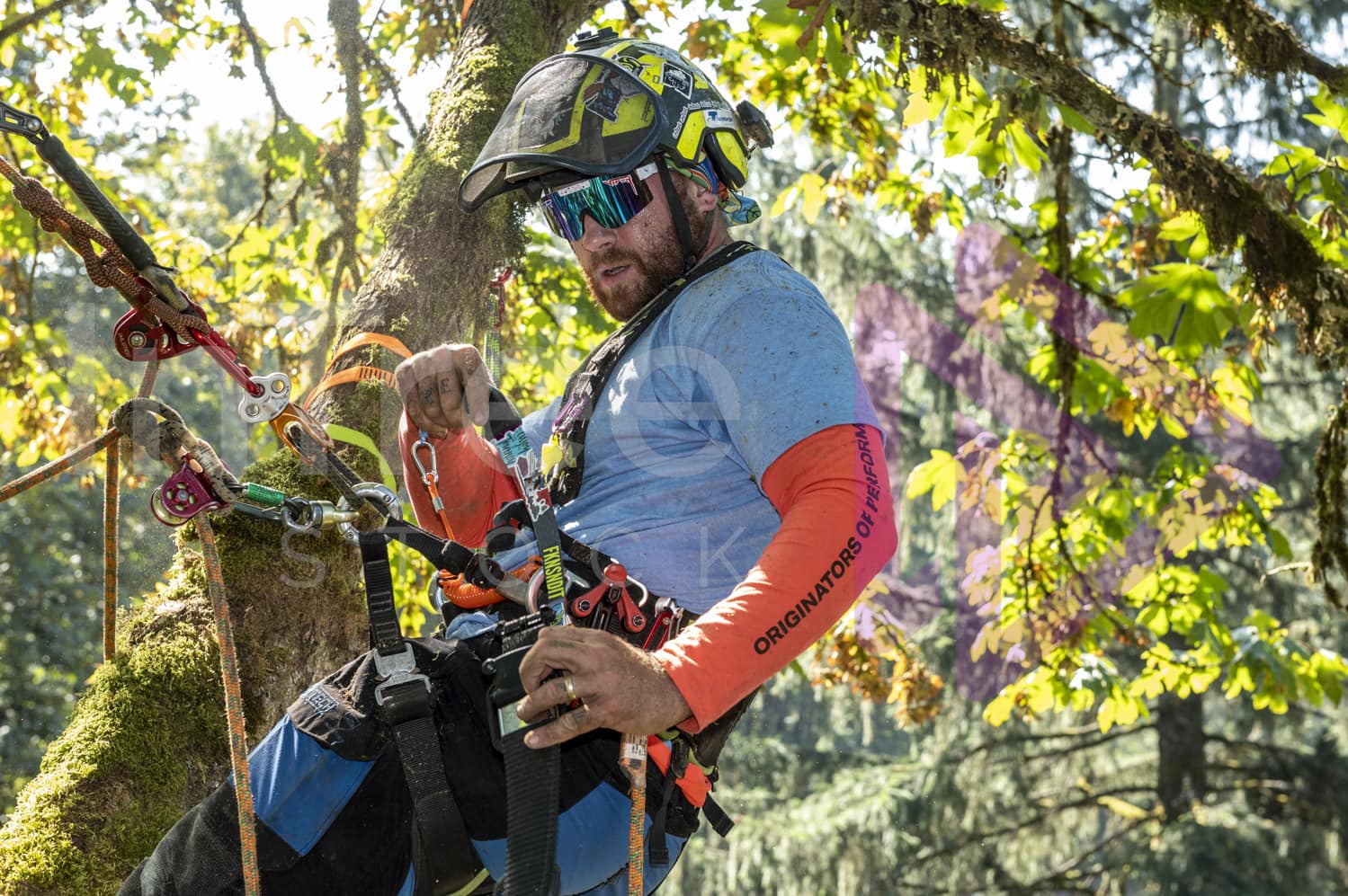 BCTCC_2022-Arborist-Stock-Photo-001-22-3835