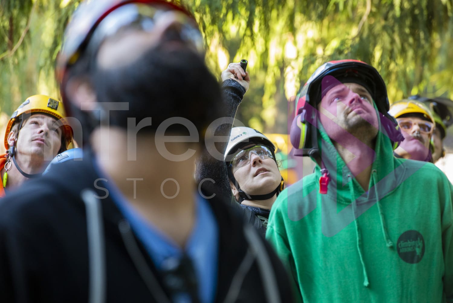 BCTCC_2022-Arborist-Stock-Photo-001-22-6737