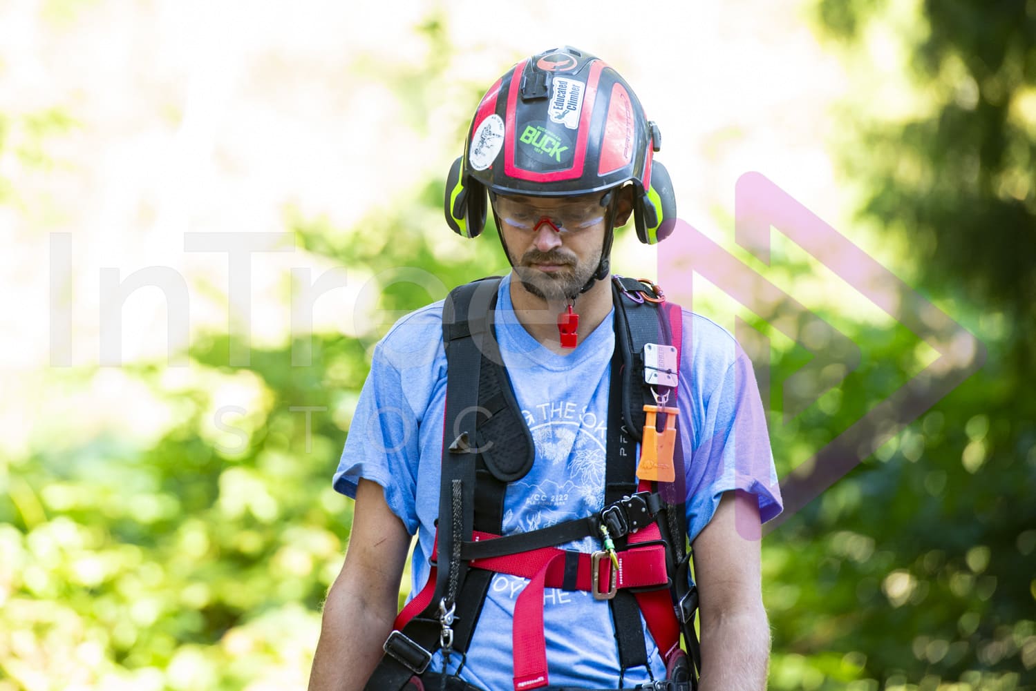 bctcc-2022-arborist-stock-photo-001-22-6801-intree-stock-arborist