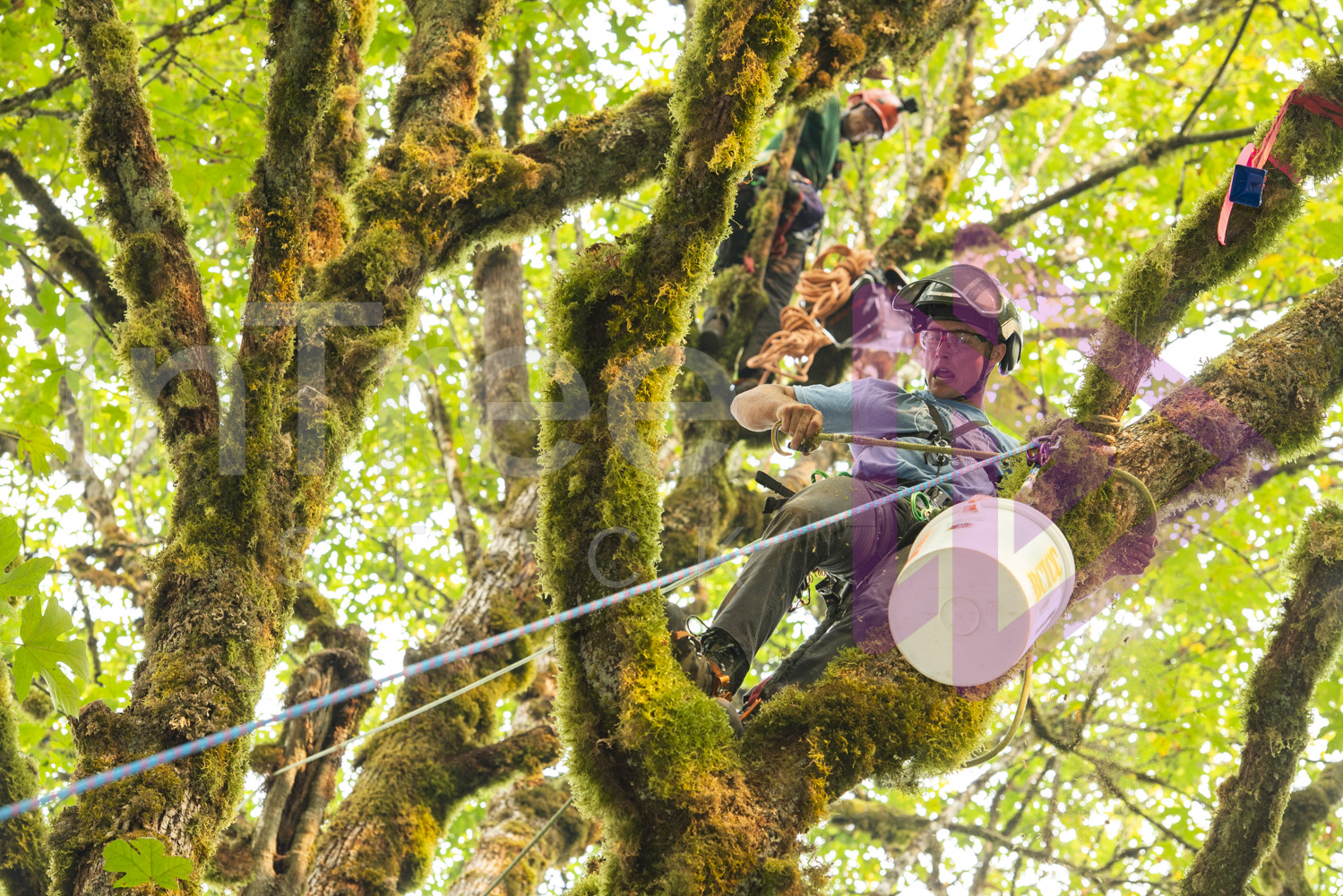 BCTCC_2022-Arborist-Stock-Photo-001-22-7086