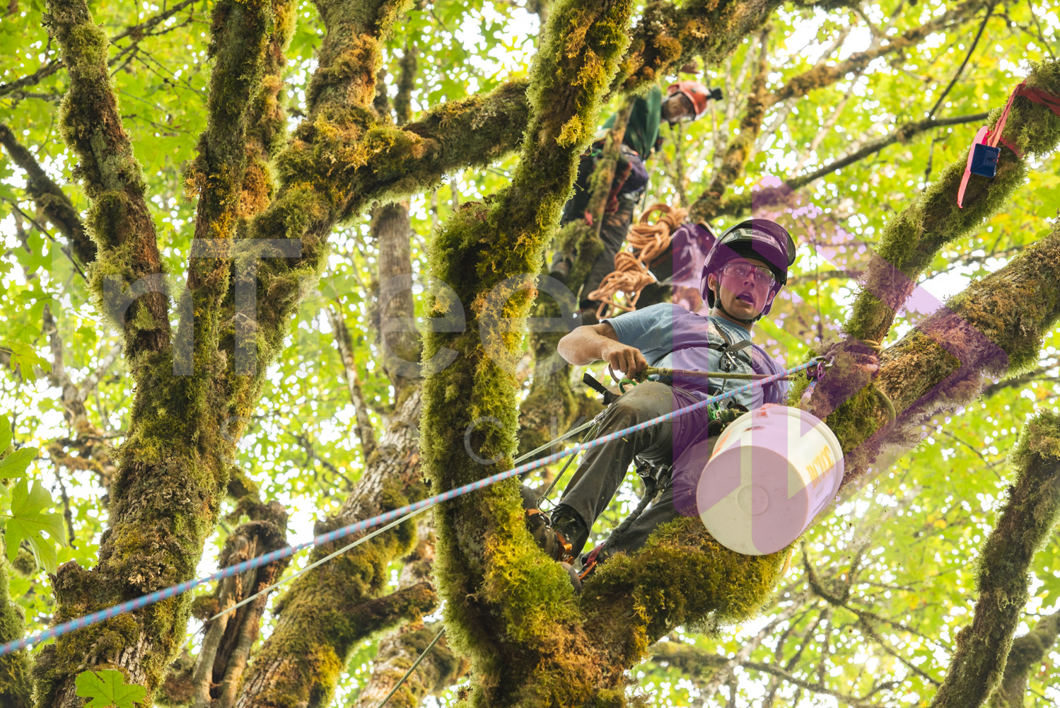 BCTCC_2022-Arborist-Stock-Photo-001-22-7087