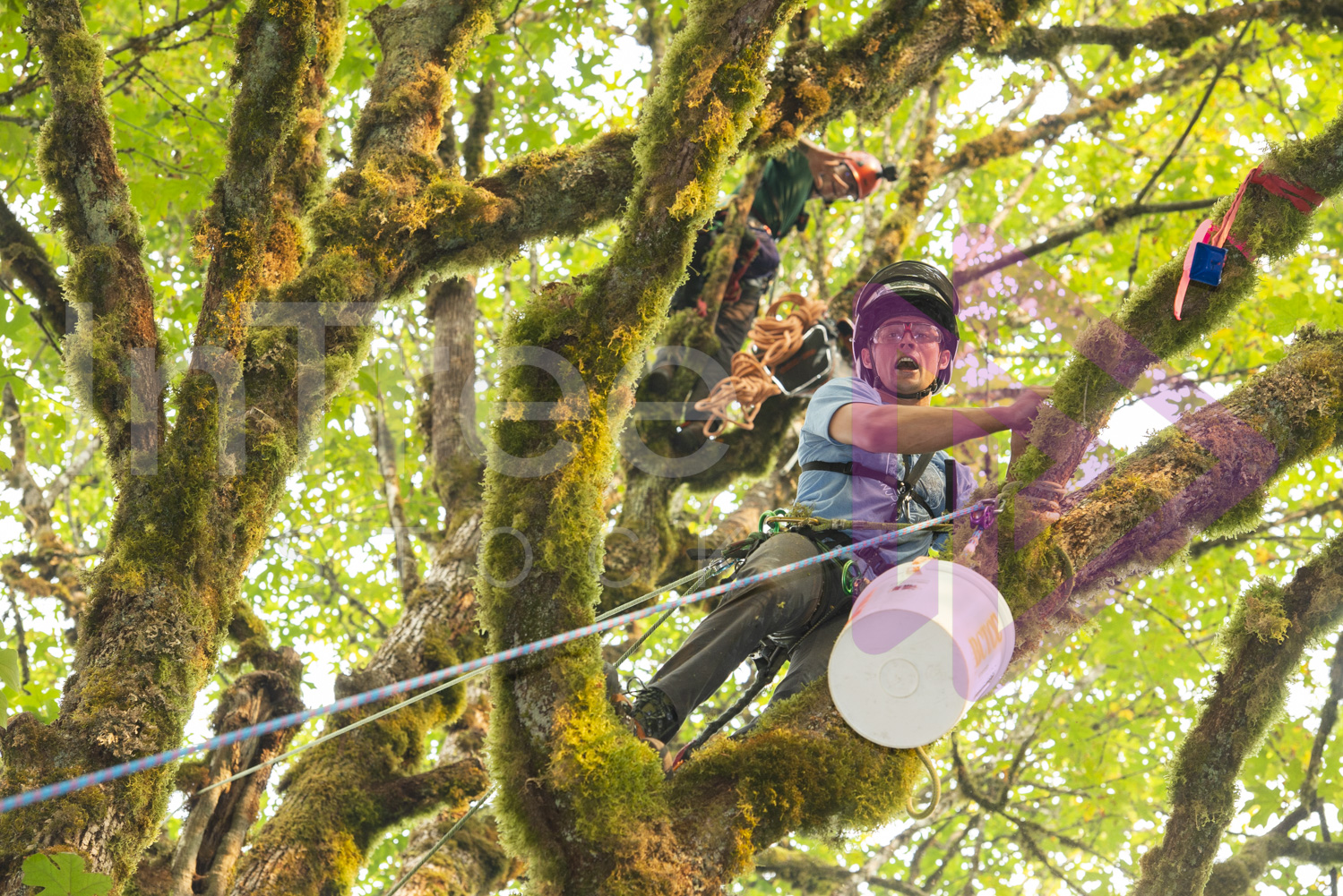 BCTCC_2022-Arborist-Stock-Photo-001-22-7088