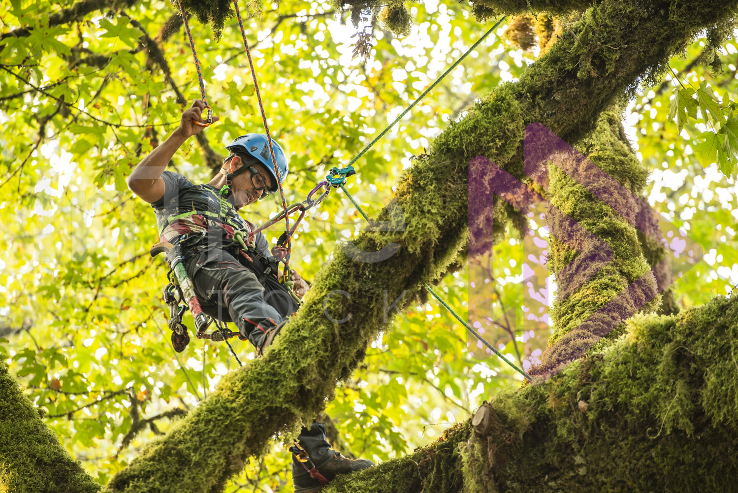 BCTCC_2022-Arborist-Stock-Photo-001-22-7178