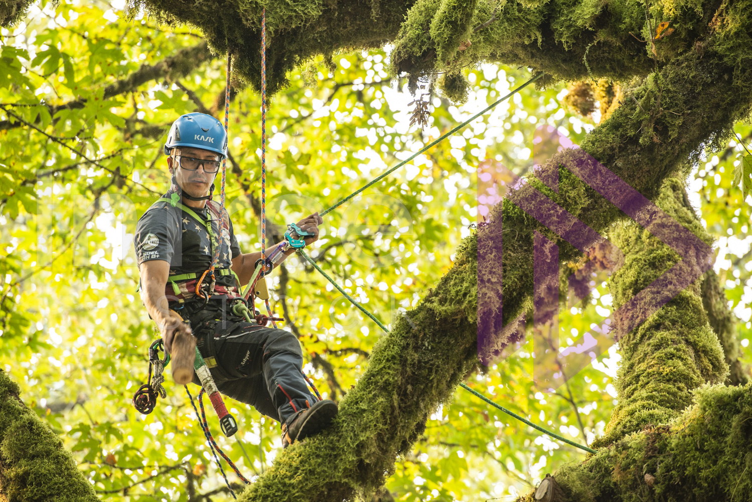 BCTCC_2022-Arborist-Stock-Photo-001-22-7183