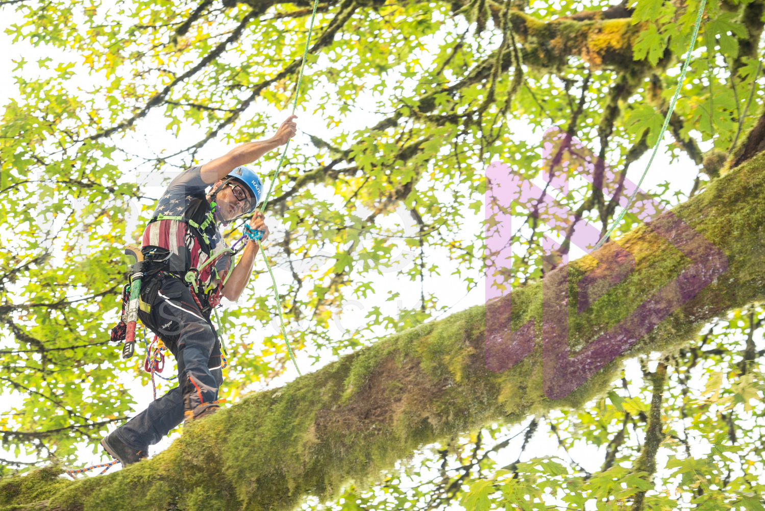 BCTCC_2022-Arborist-Stock-Photo-001-22-7198