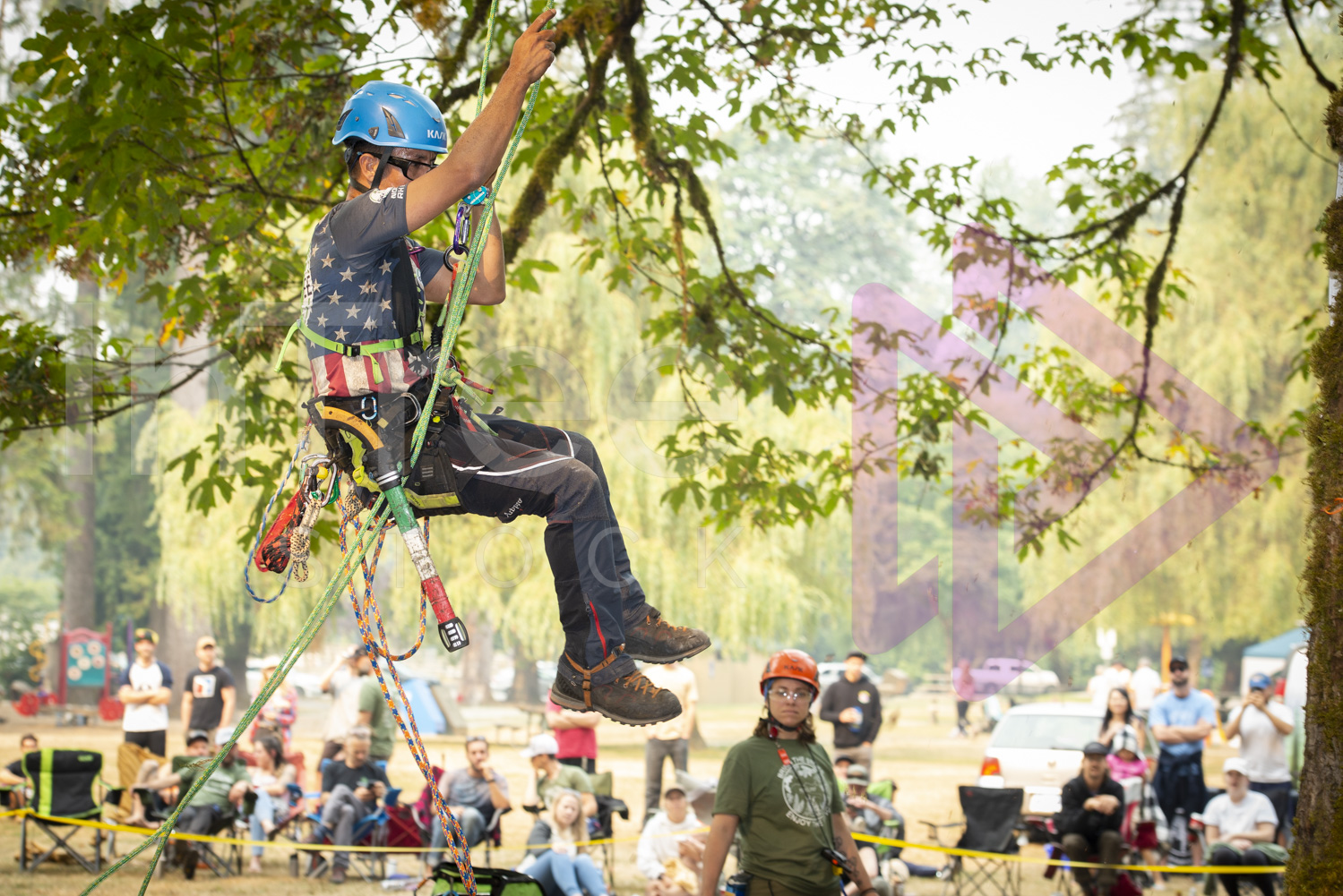 BCTCC_2022-Arborist-Stock-Photo-001-22-7201