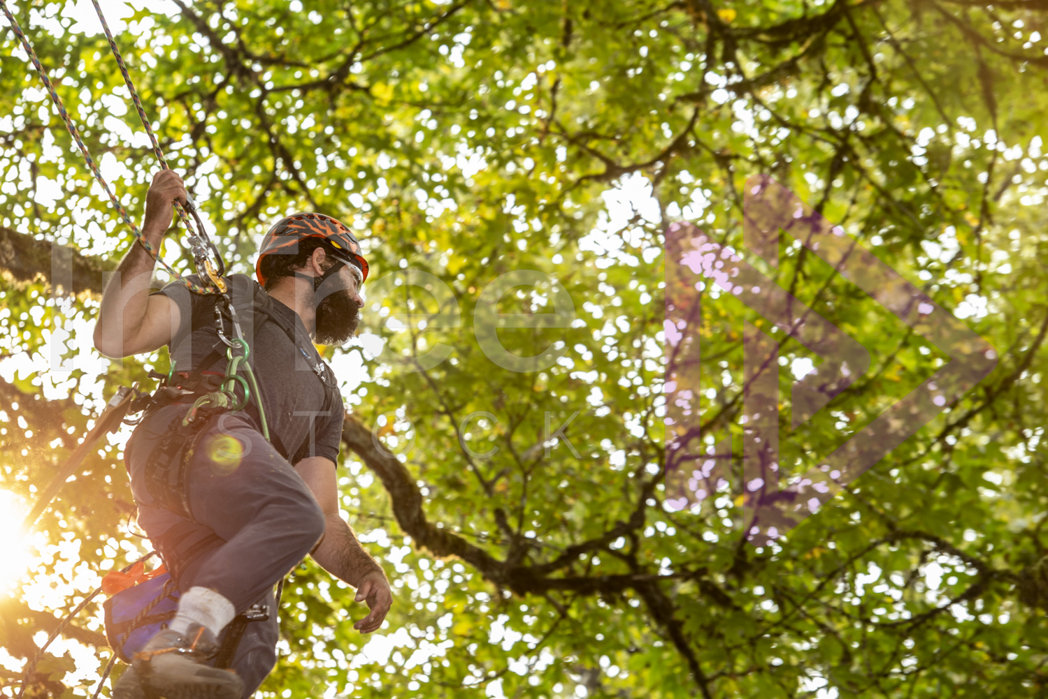 BCTCC_2022-Arborist-Stock-Photo-001-22-7257