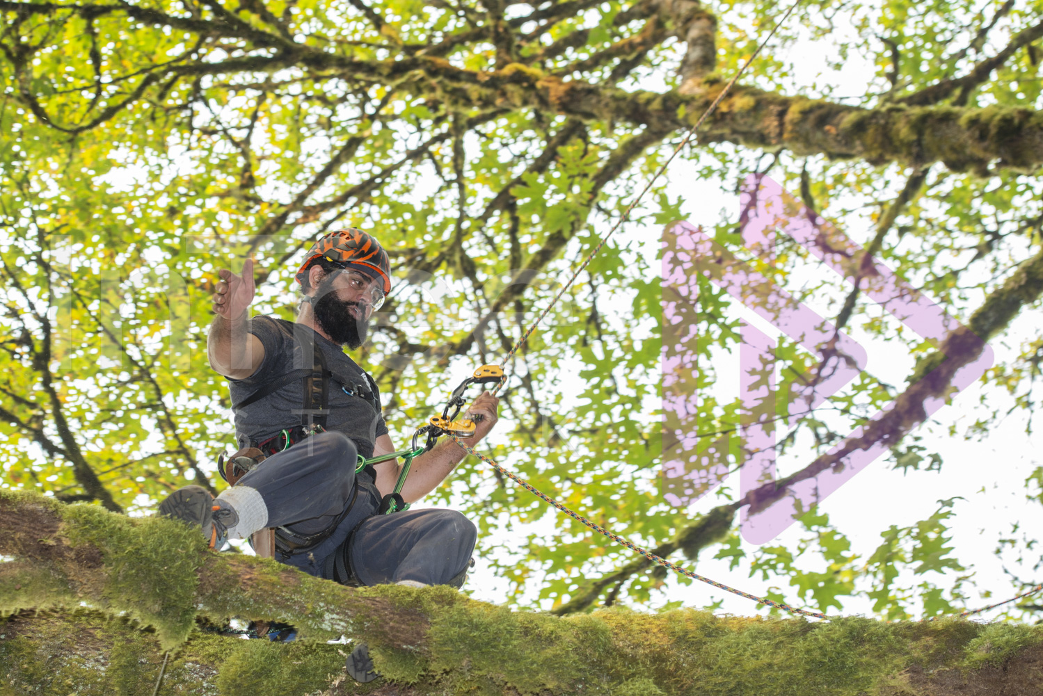 BCTCC_2022-Arborist-Stock-Photo-001-22-7264